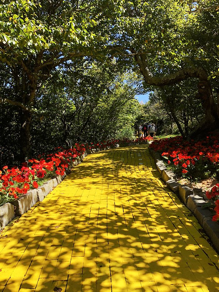 Autumn at Oz The Yellow Brick Road