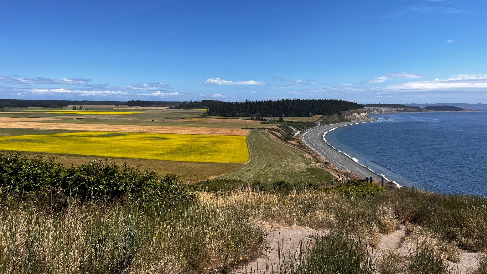 Coastal landscape with blue ocean on the right, a gravel beach, green and yellow fields, forested area, and a blue sky with scattered clouds.