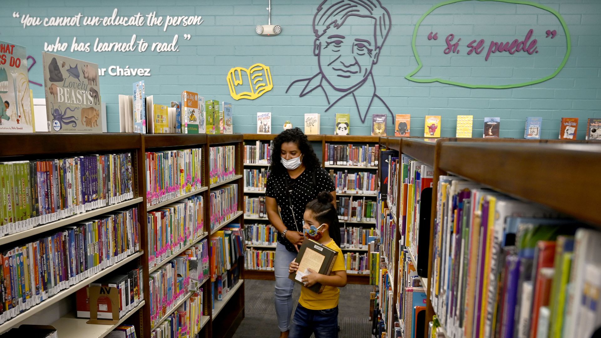 A young boy browses library book shelves