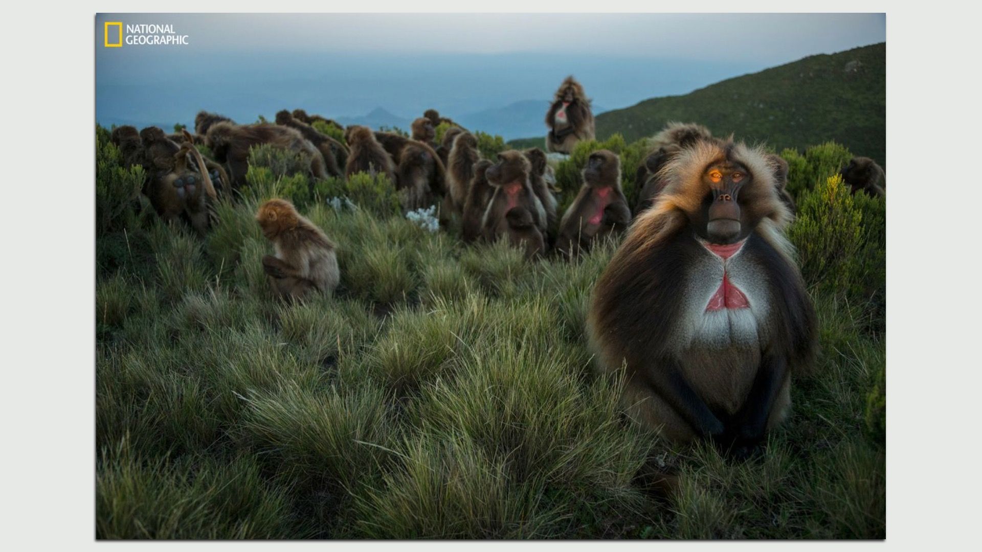 National Geographic photo