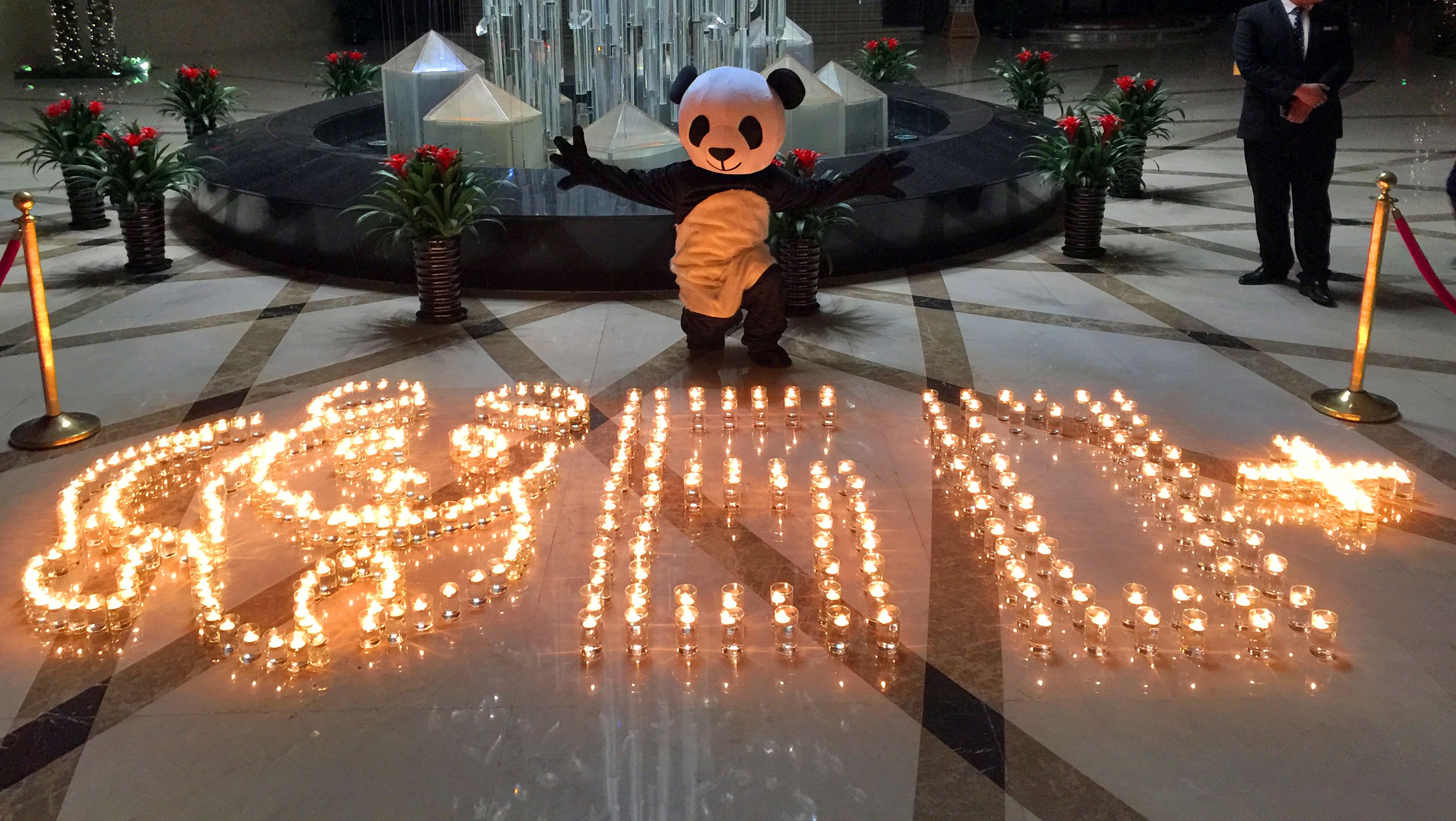 Staff member wearing panda costume poses with candles in Yantai, Shandong Province of China.