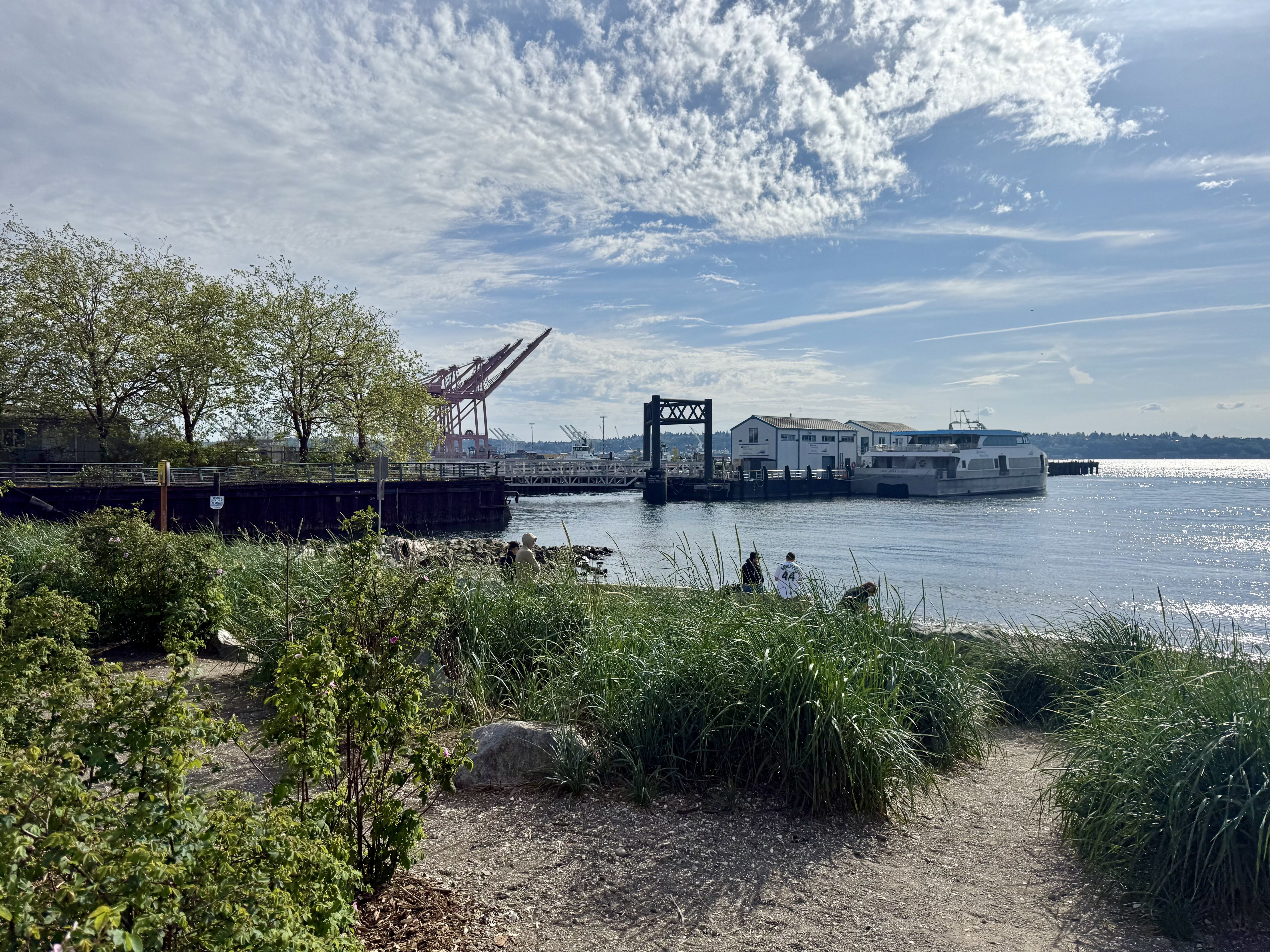 Harbor scene with moored boats along a right-hand pier, pink port cranes in the distance, green trees and tall grasses in the foreground, and a bright blue sky with wispy clouds.