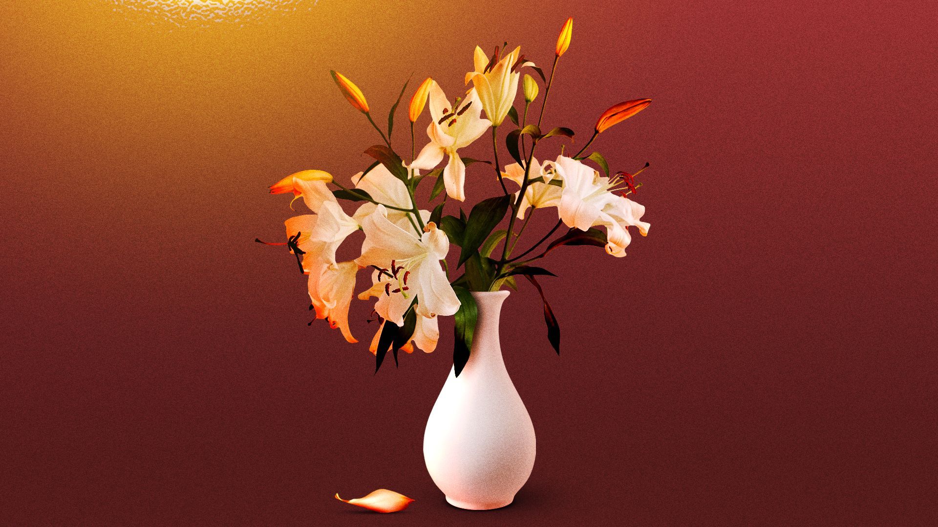 Illustration of white lilies wilting in the heat. 