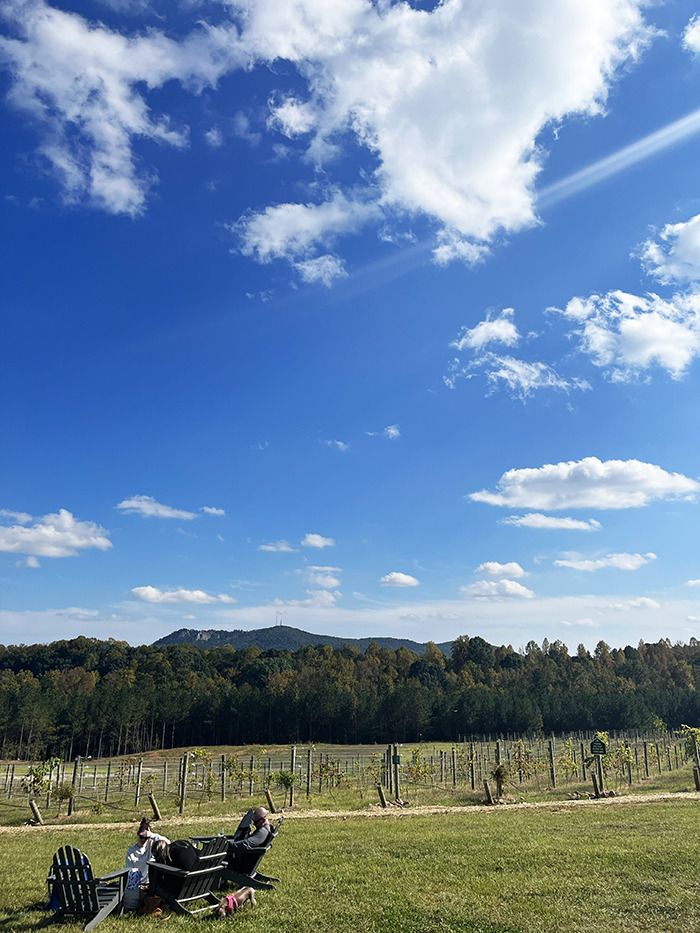 veronet vineyards views in king mountain
