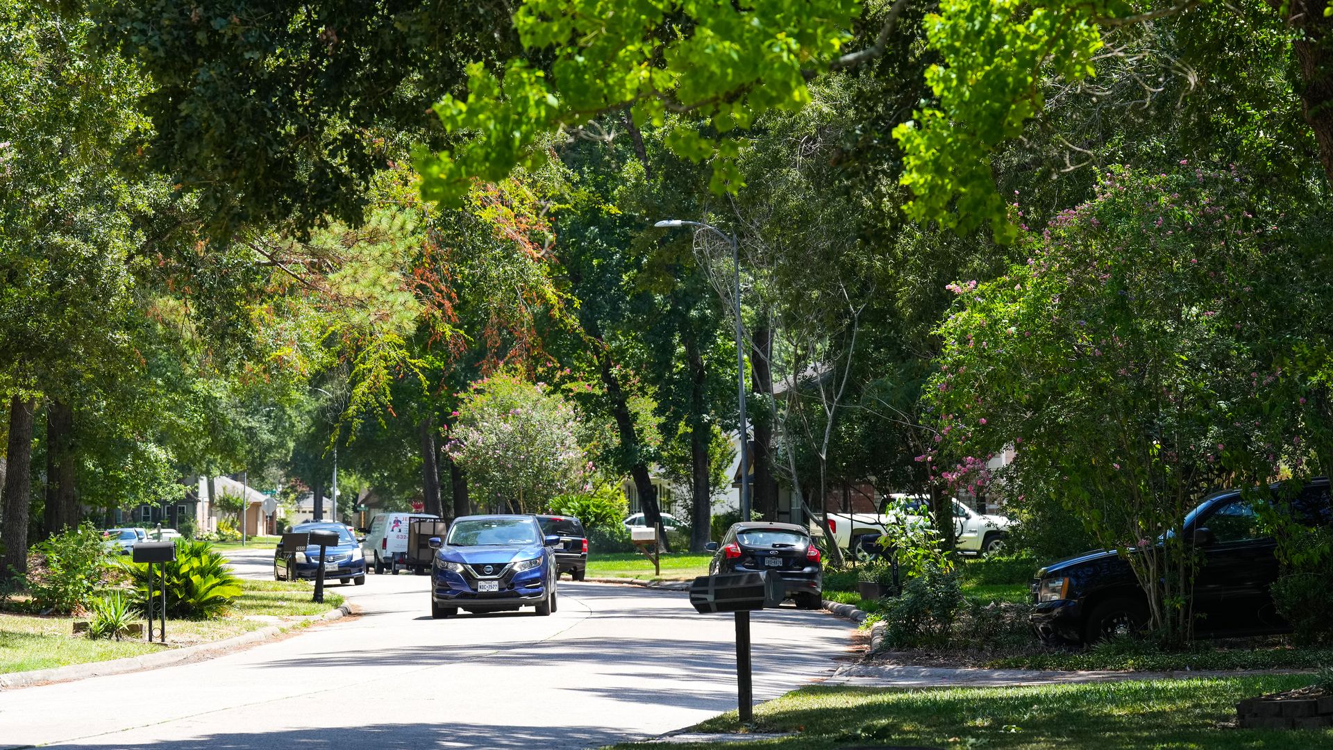 A photo of a neighborhood with trees