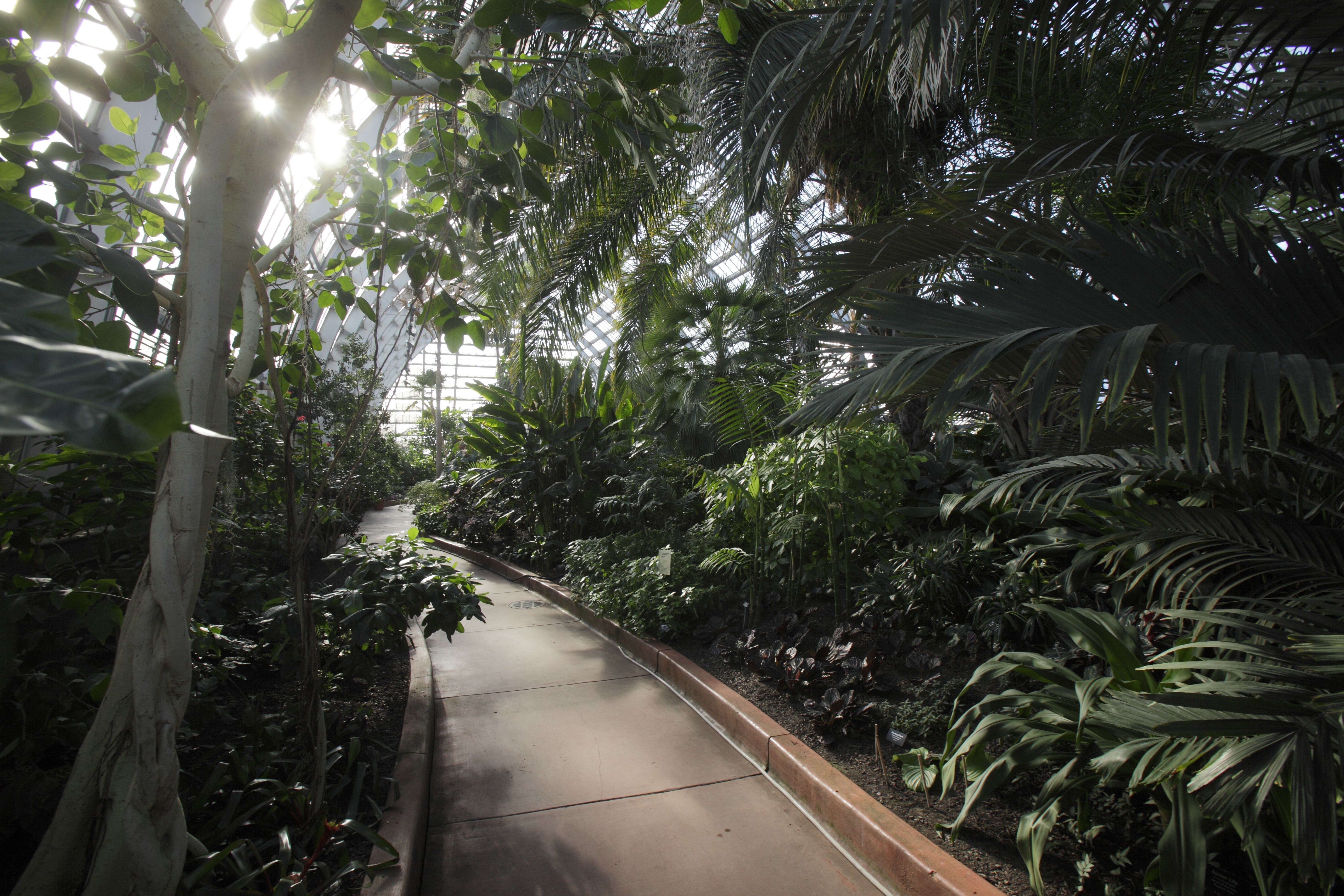 Photo of a nature conservatory. 