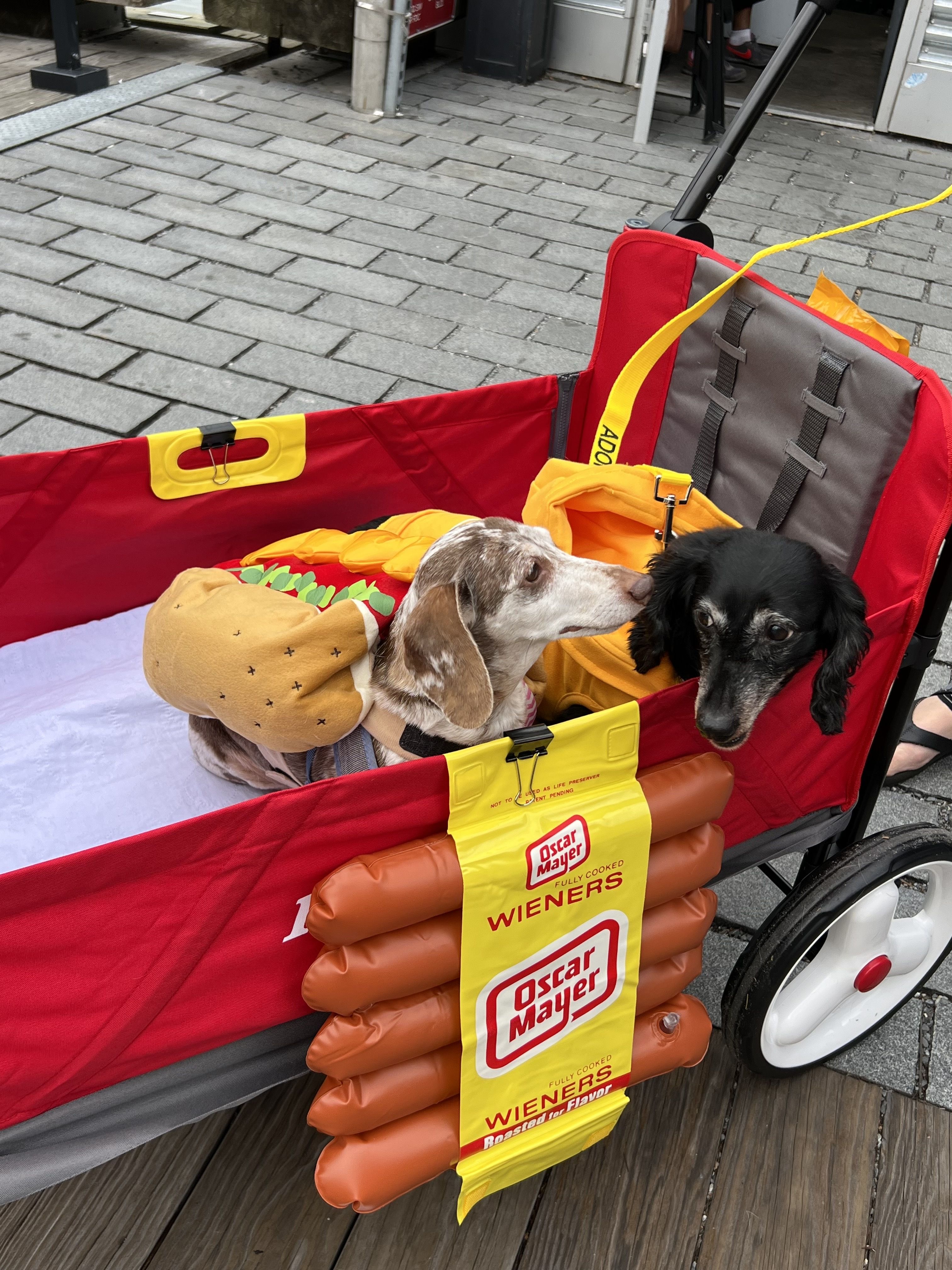 Two Dachsunds dressed up in hot dog costumes and sitting in a red wagon with Oscar Meyer wiener banner on it.