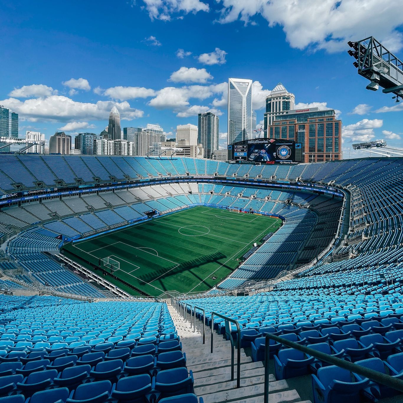 Cougar Wallpaper 31071