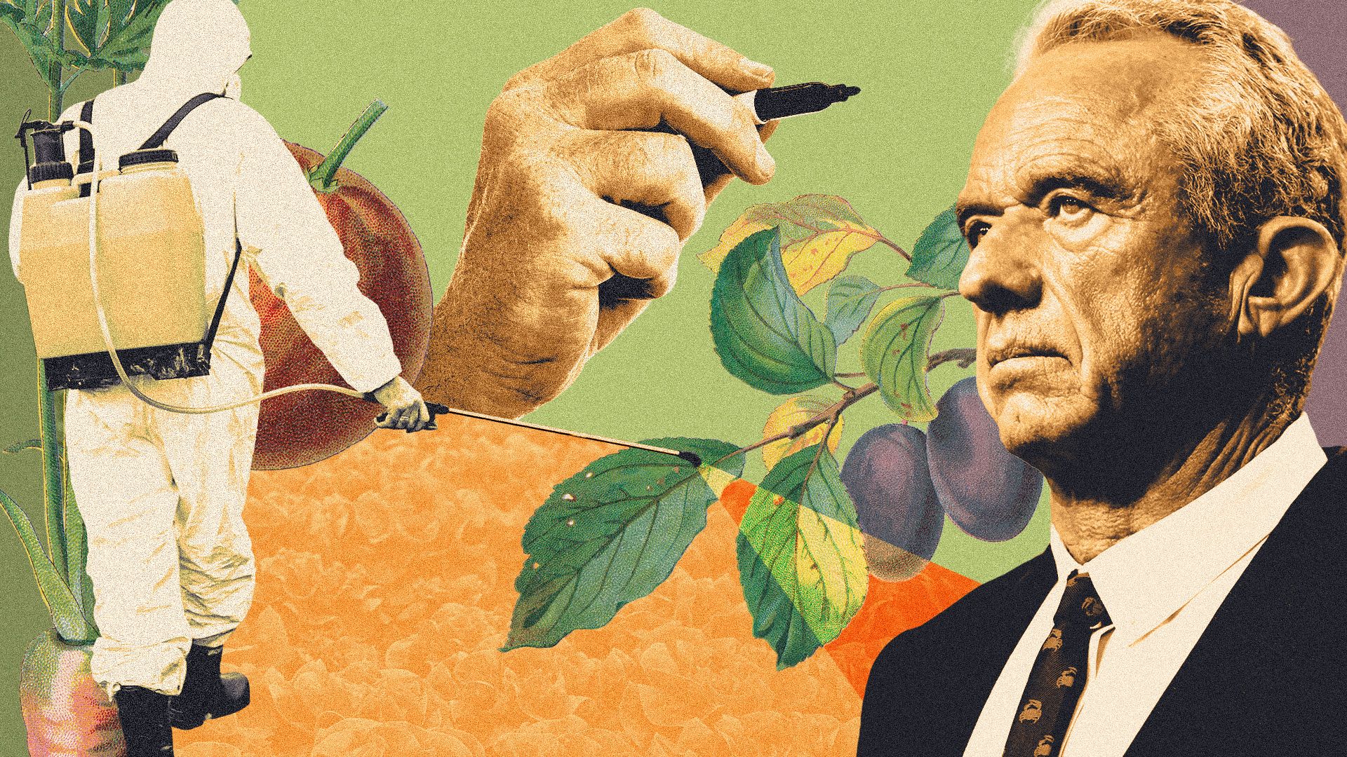 Photo illustration of U.S. Secretary of Health and Human Services Robert F. Kennedy Jr surrounded by plant illustrations, a photo of a person spraying pesticides, and a hand holding a sharpie