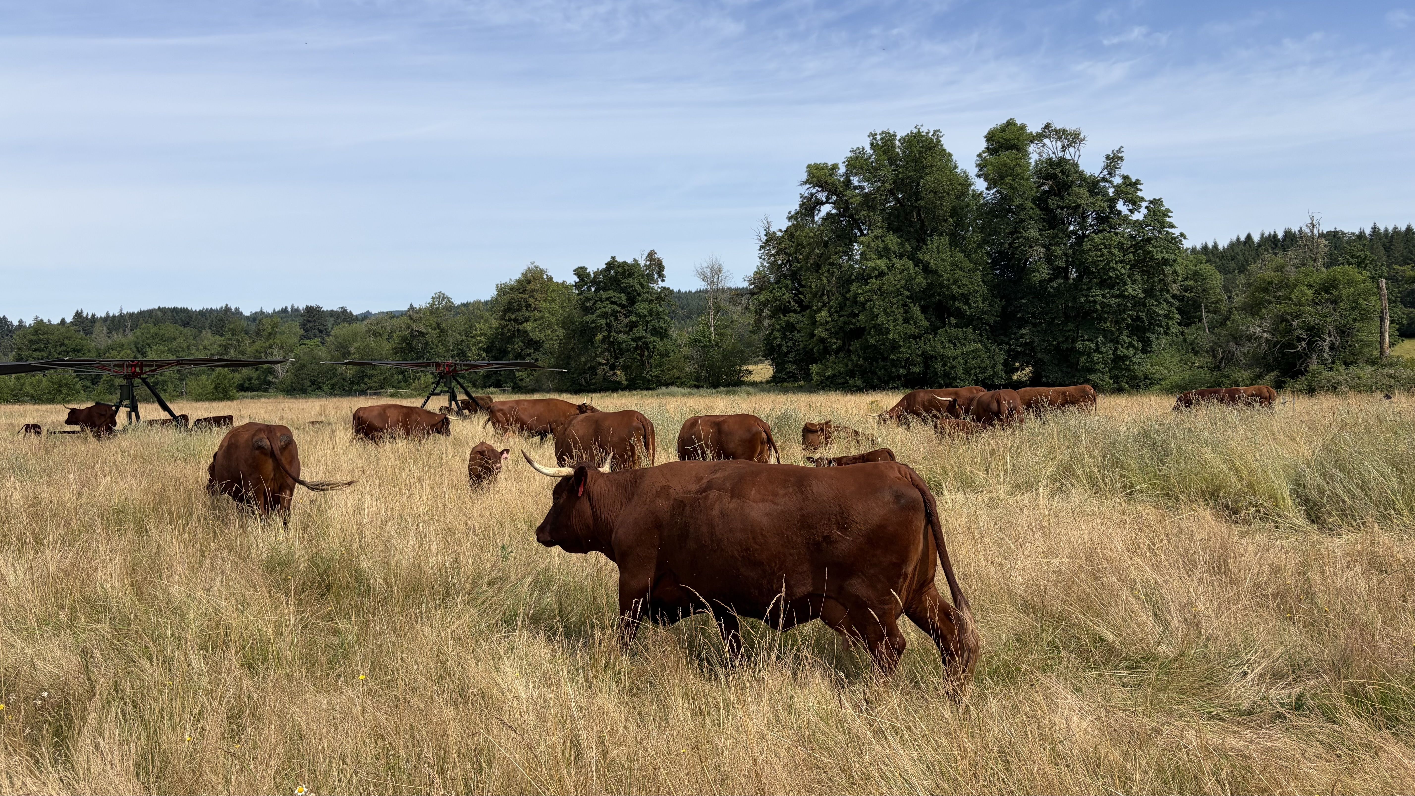 axios.com - Meira Gebel - Why one Oregon farm made hospitality its new crop