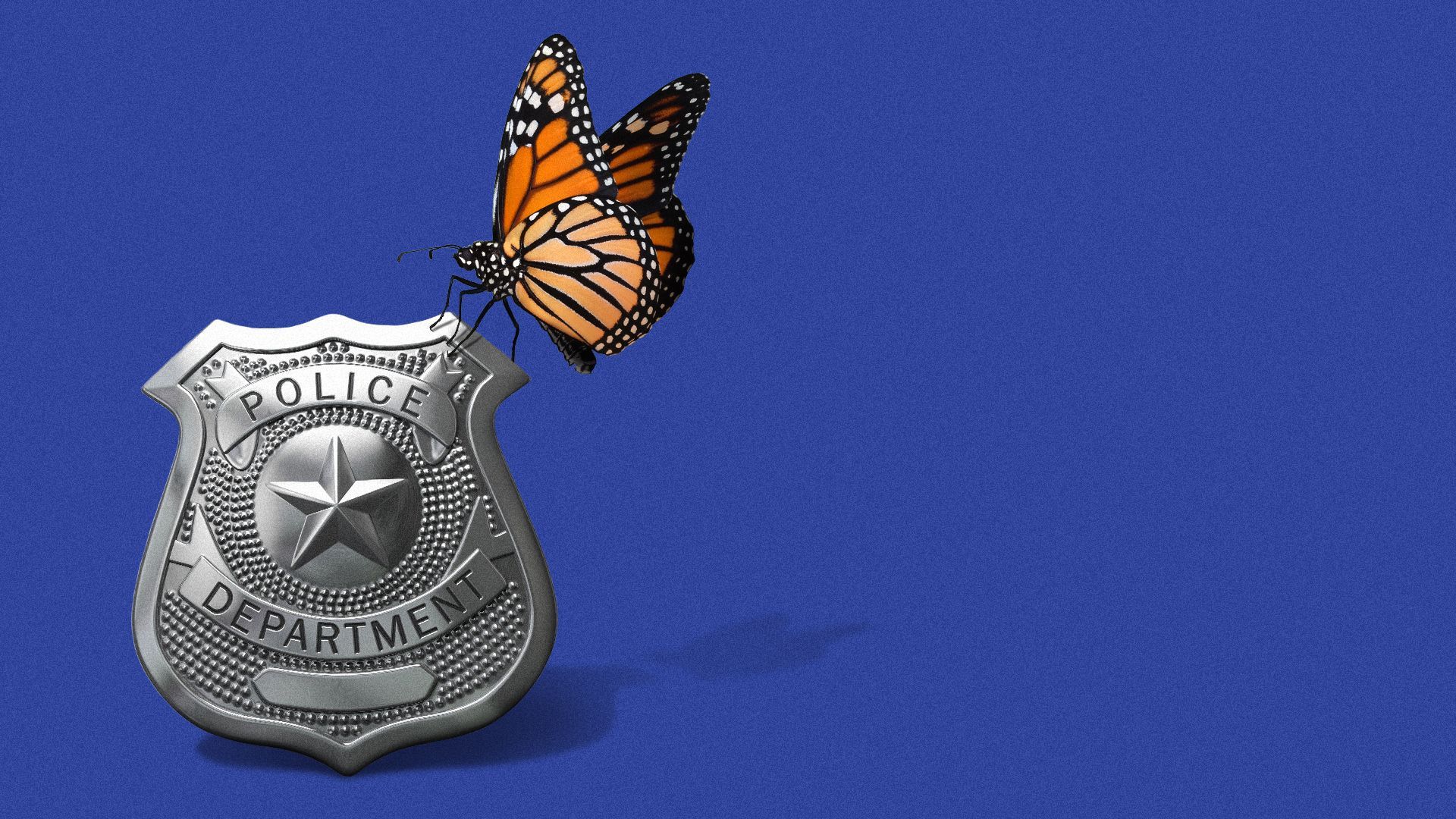 Illustration of a monarch butterfly on a police badge.