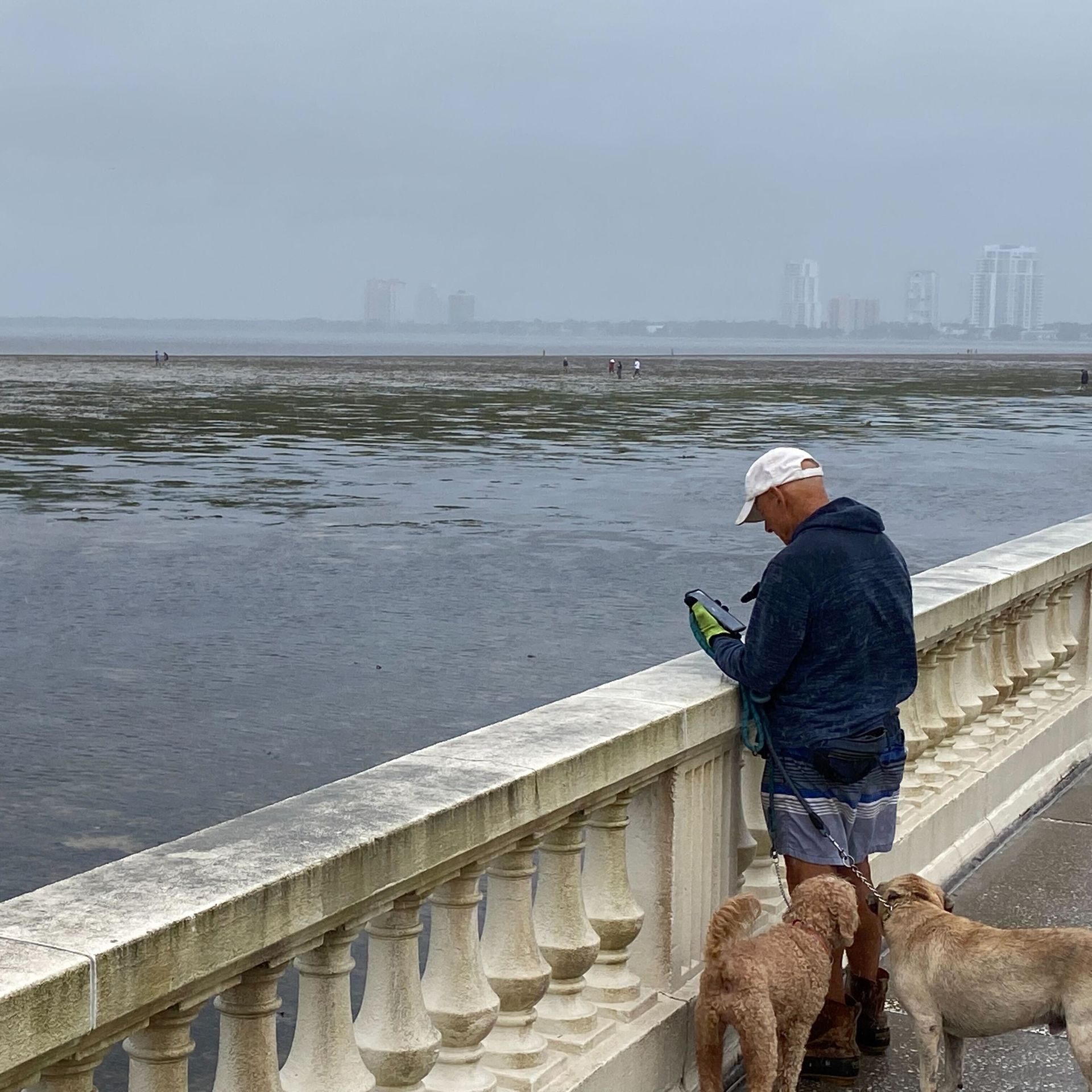 A man stands along Tampa's Bayshore Boulevard watching how the water has retreated.