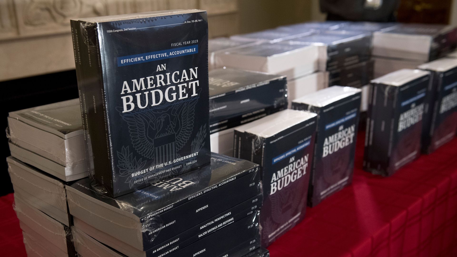 Stacks of Trump budget books