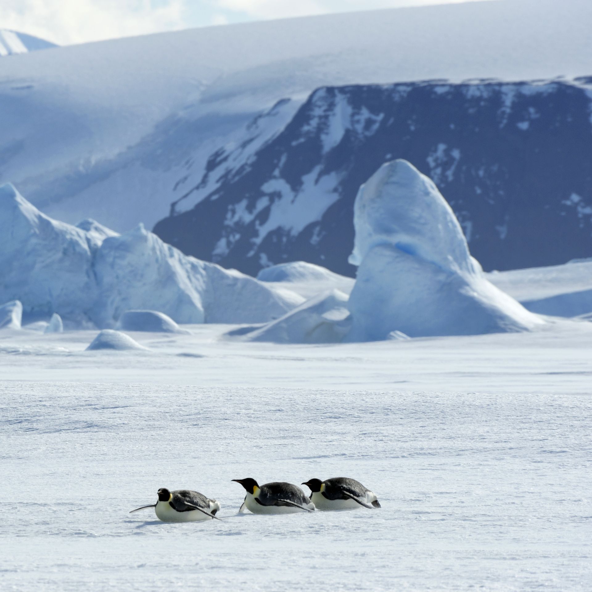 Record concentration of microplastic discovered in Arctic sea ice, study  says