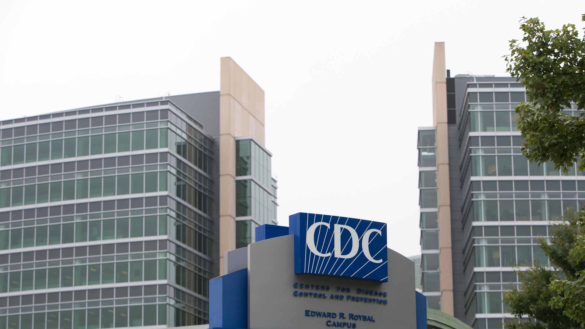 CDC Issues Marburg Virus Advisory After Outbreaks In 2 African Nations post image