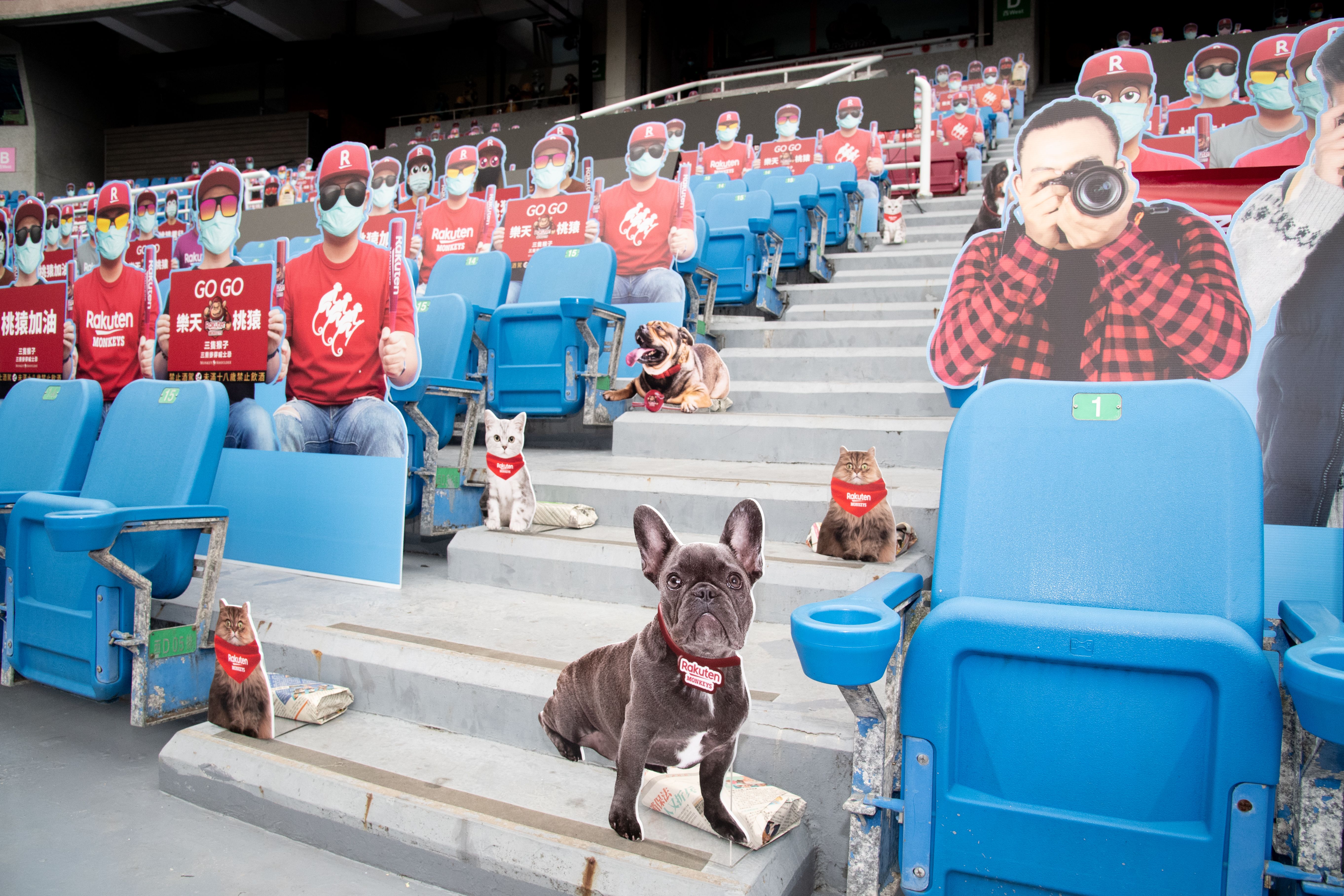 Cardboard cutout fans