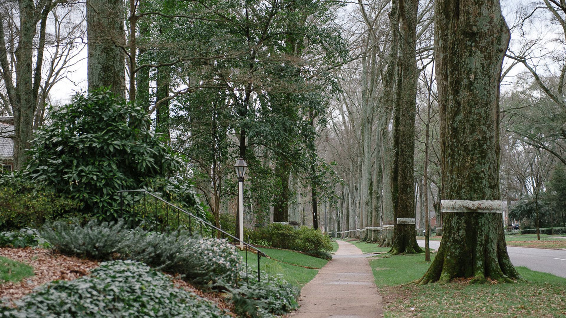 open houses myers park