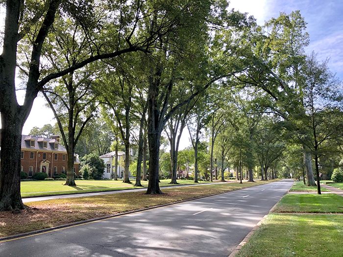 queens road west street and houses in charlotte