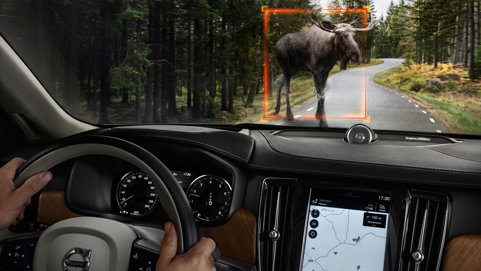 Image of a Volvo car's safety technology recognizing a moose on the road