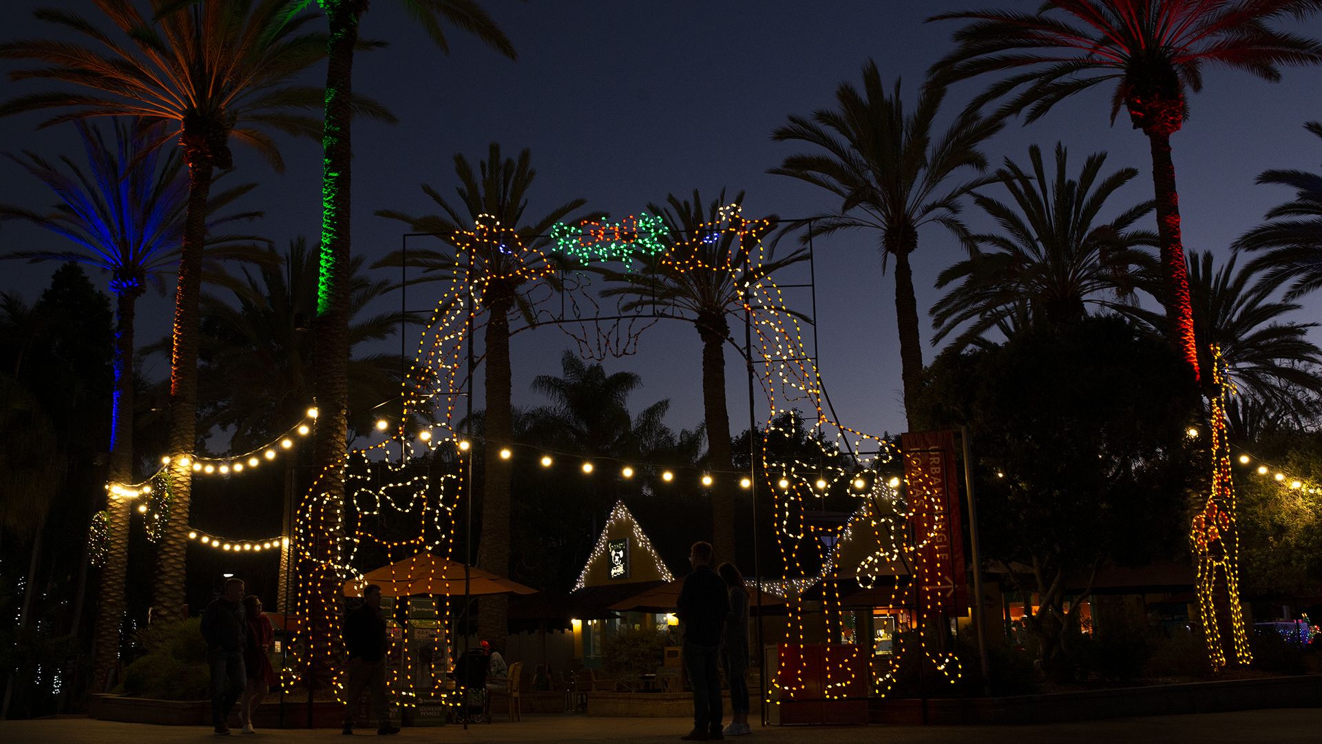 Two tall giraffes made of Christmas lights kiss under mistletoe at the entrance of a festive holiday trail at the San Diego Zoo.
