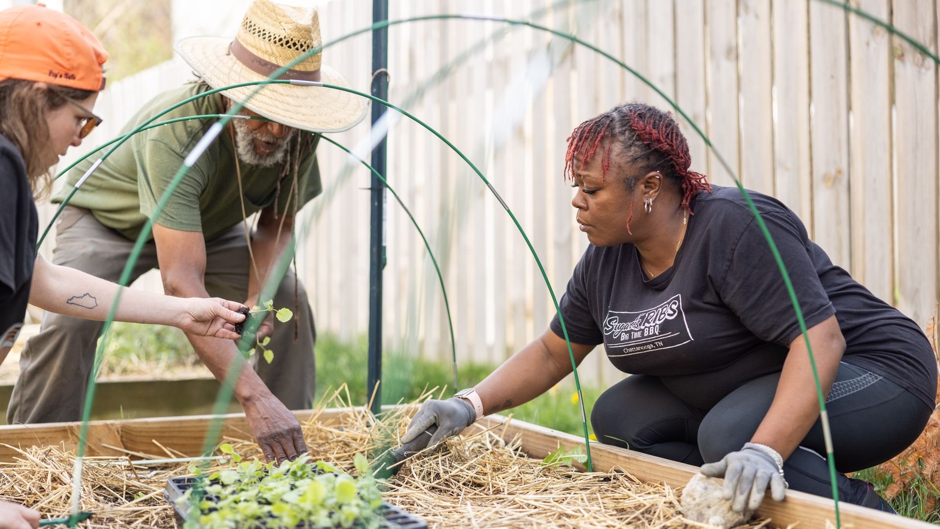 Three people garden in a raised bed with straw mulch, planting seedlings. A woman with red braids on the right, a man with a straw hat in the middle, and a person in an orange cap on the left.