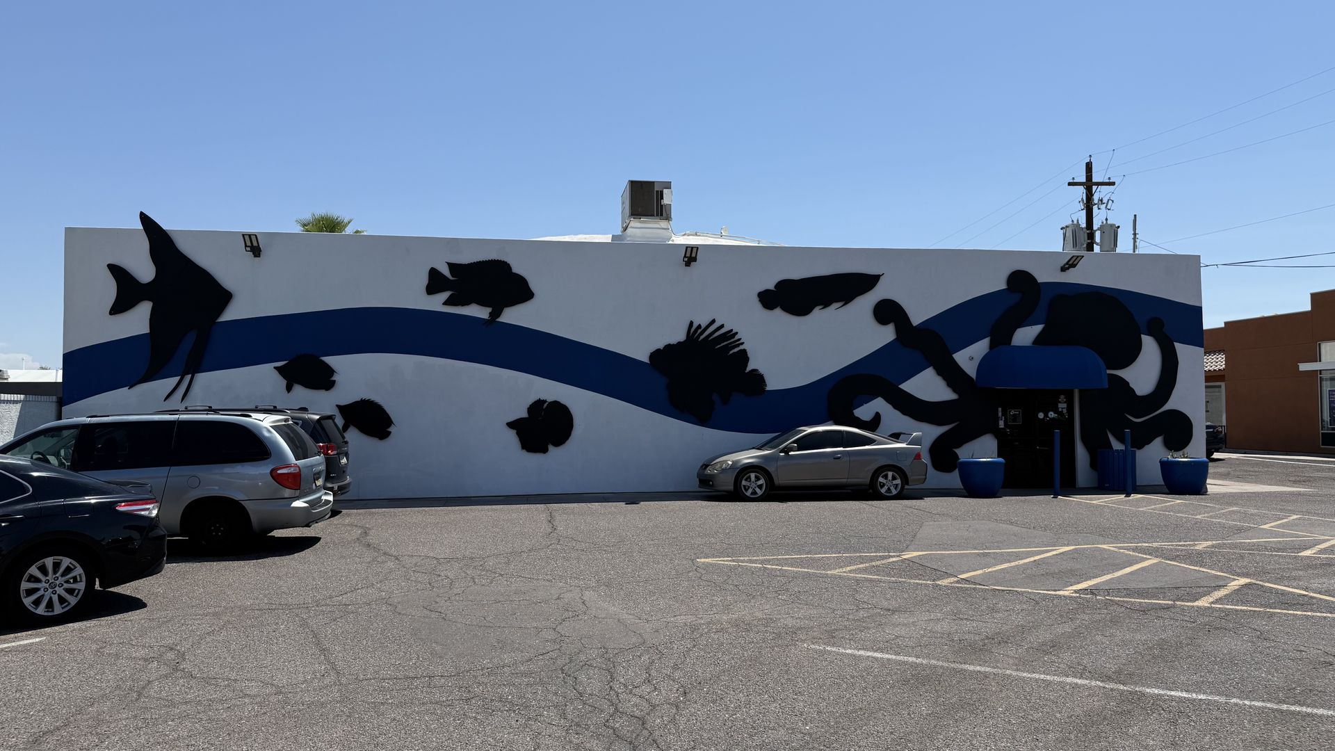 White building with a blue wave mural featuring black sea creatures including a large octopus near the entrance, various fish silhouettes, and a clear blue sky with parked cars in front.