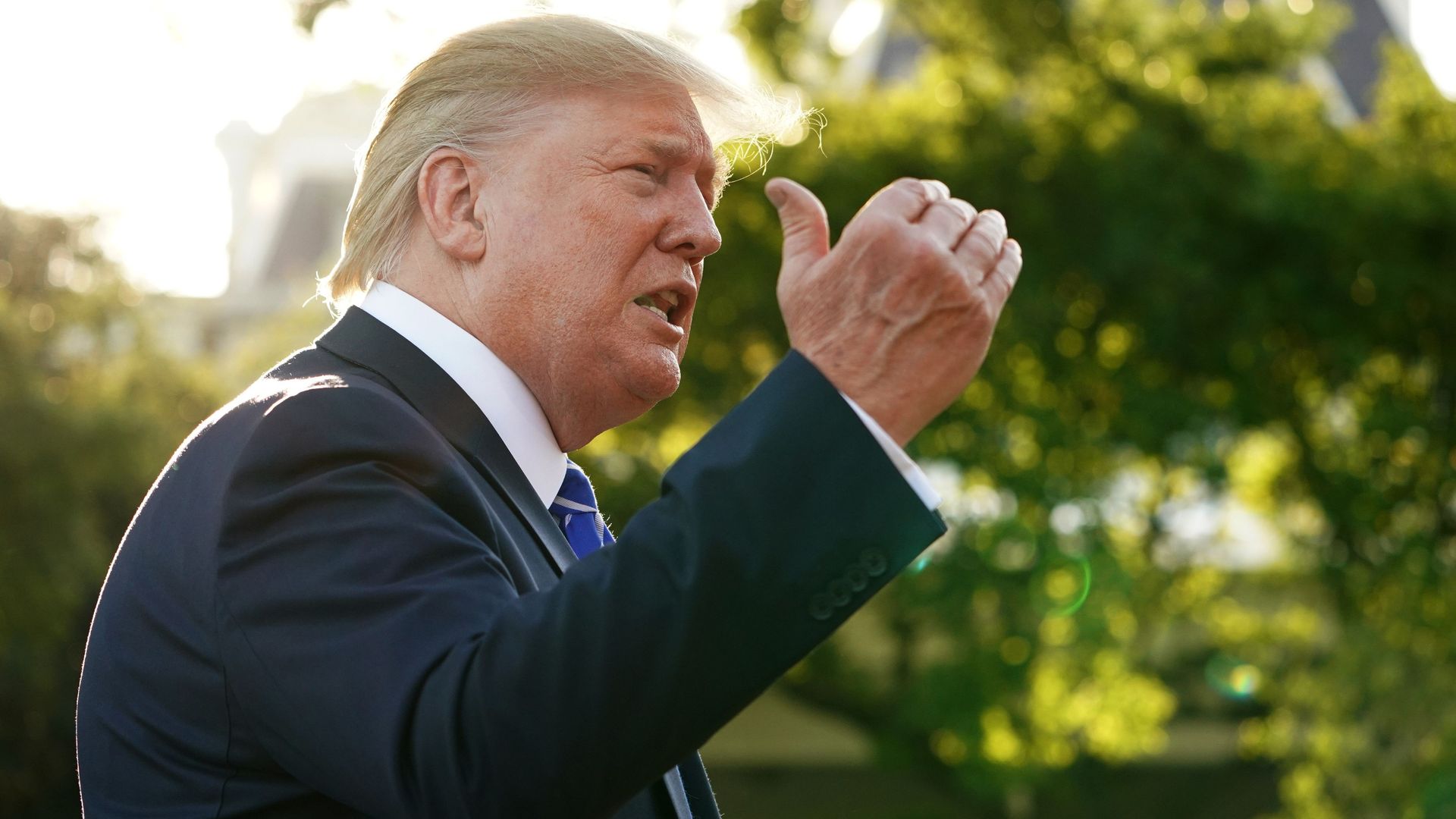 In this image, Trump is standing in a forest and speaking.