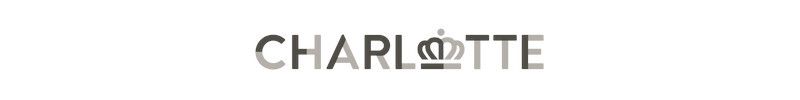charlotte city logo