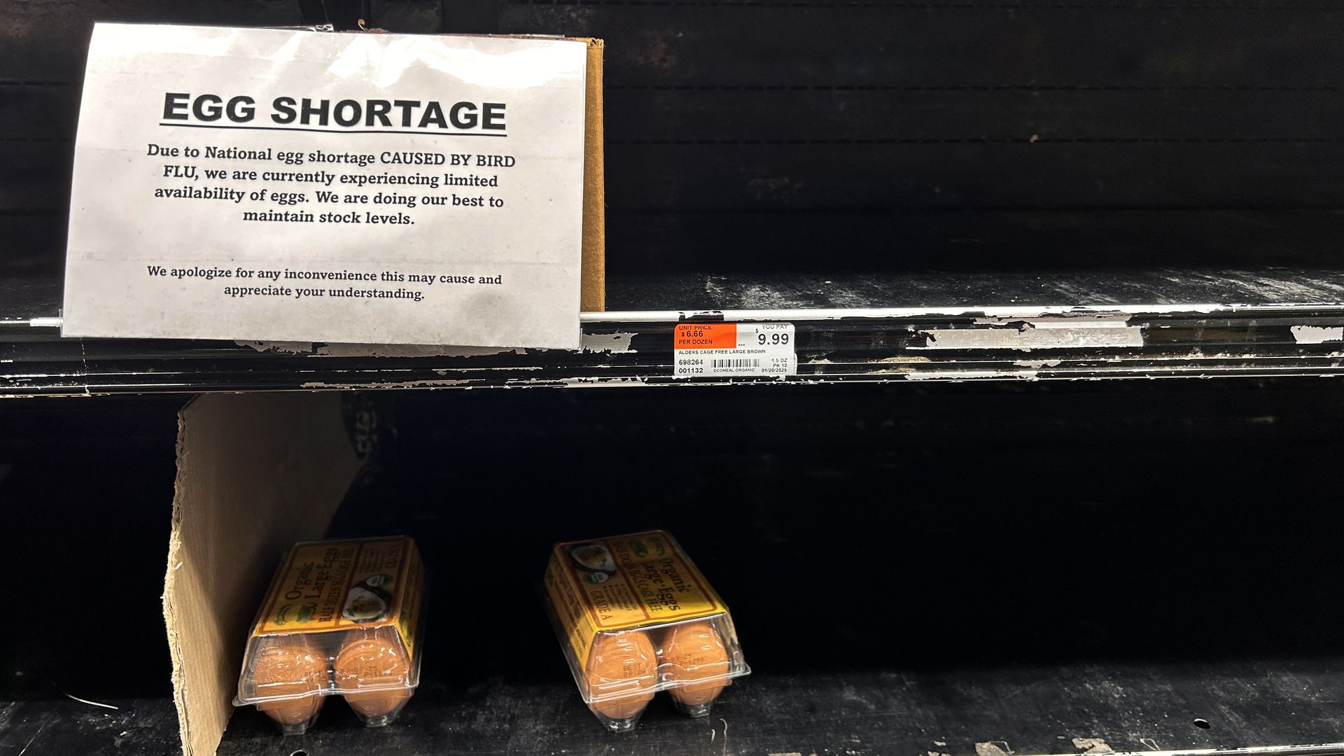 Two egg cartons on a store shelf, with s sign reading "egg shortage"