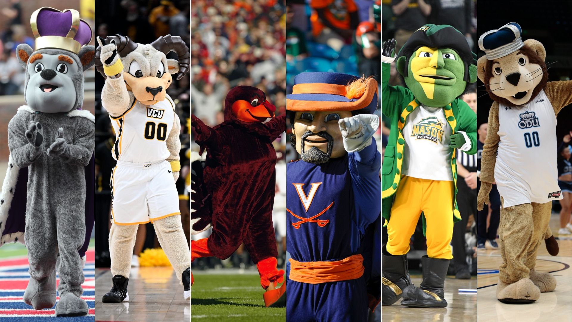 The school mascots for ODU, VCU, Tech, UVA, Mason and JMU