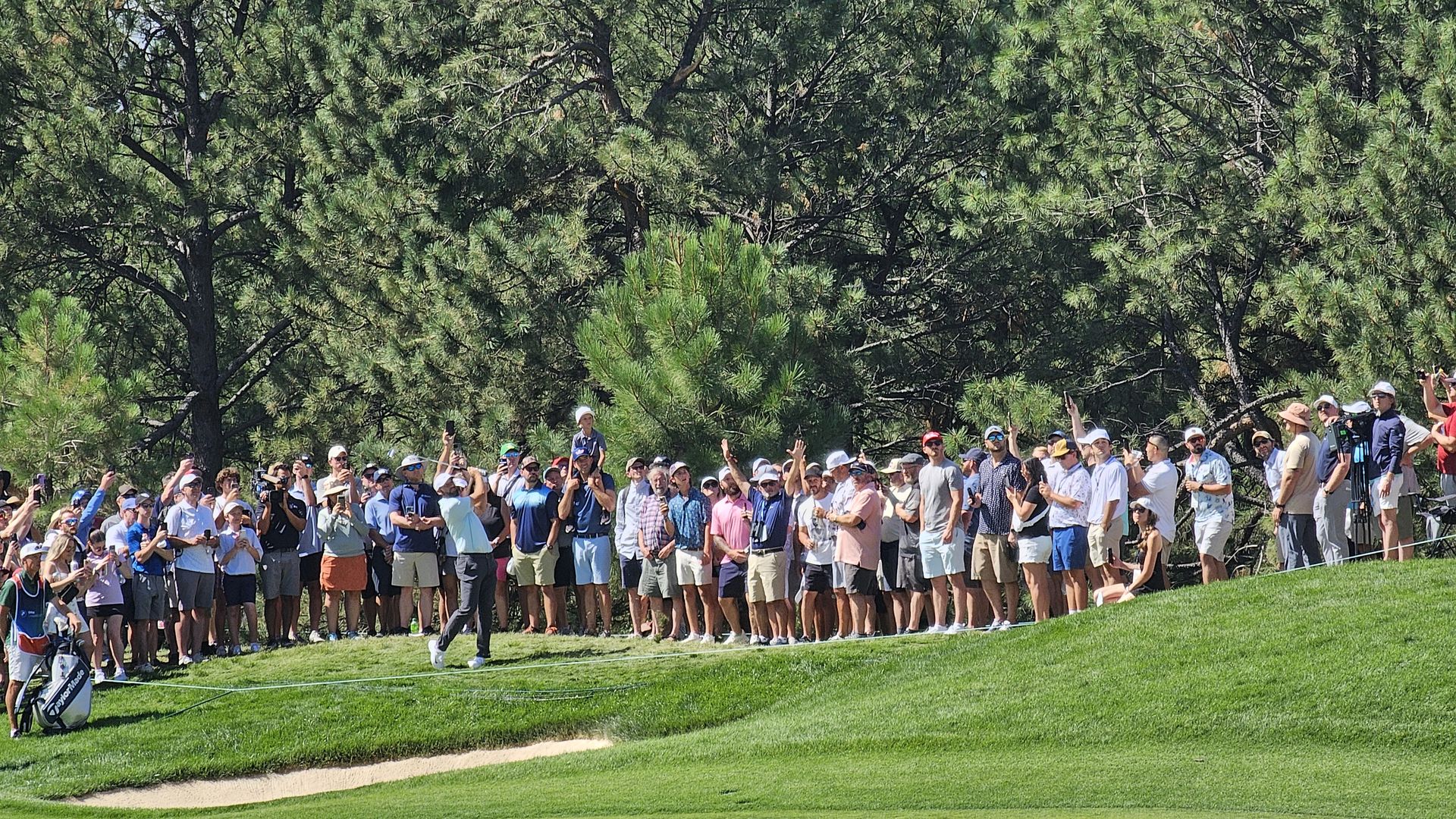 Crowd of spectators line a rope along a sunny golf course as Scottie Scheffler swings near a sand bunker, with green fairway and tall pine trees behind.