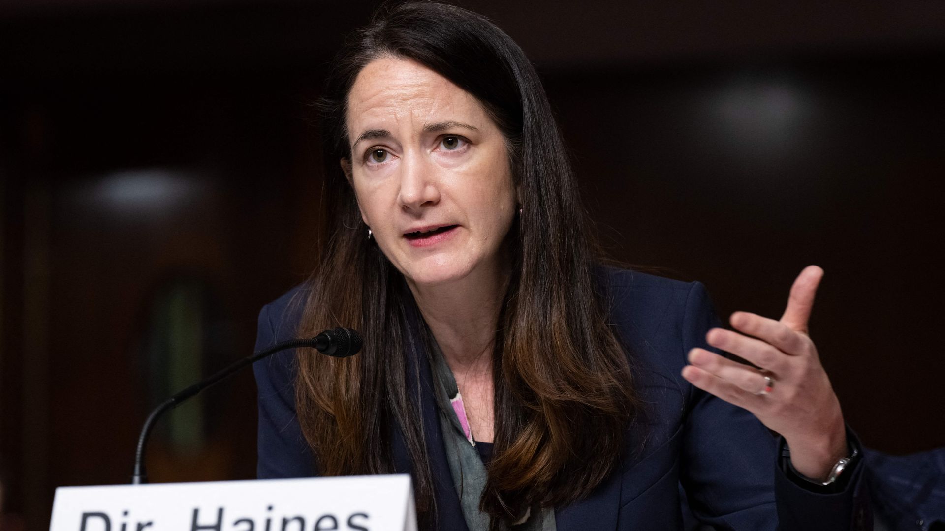 DNI Director Avril Haines is seen speaking with Congress on Tuesday.