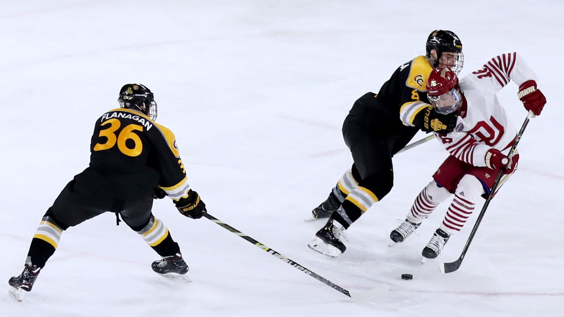 The Denver Pioneers and Colorado College Tigers battle at Magness Arena on March 7, 2020 in Denver. Photo: Lizzy Barrett/Getty Images