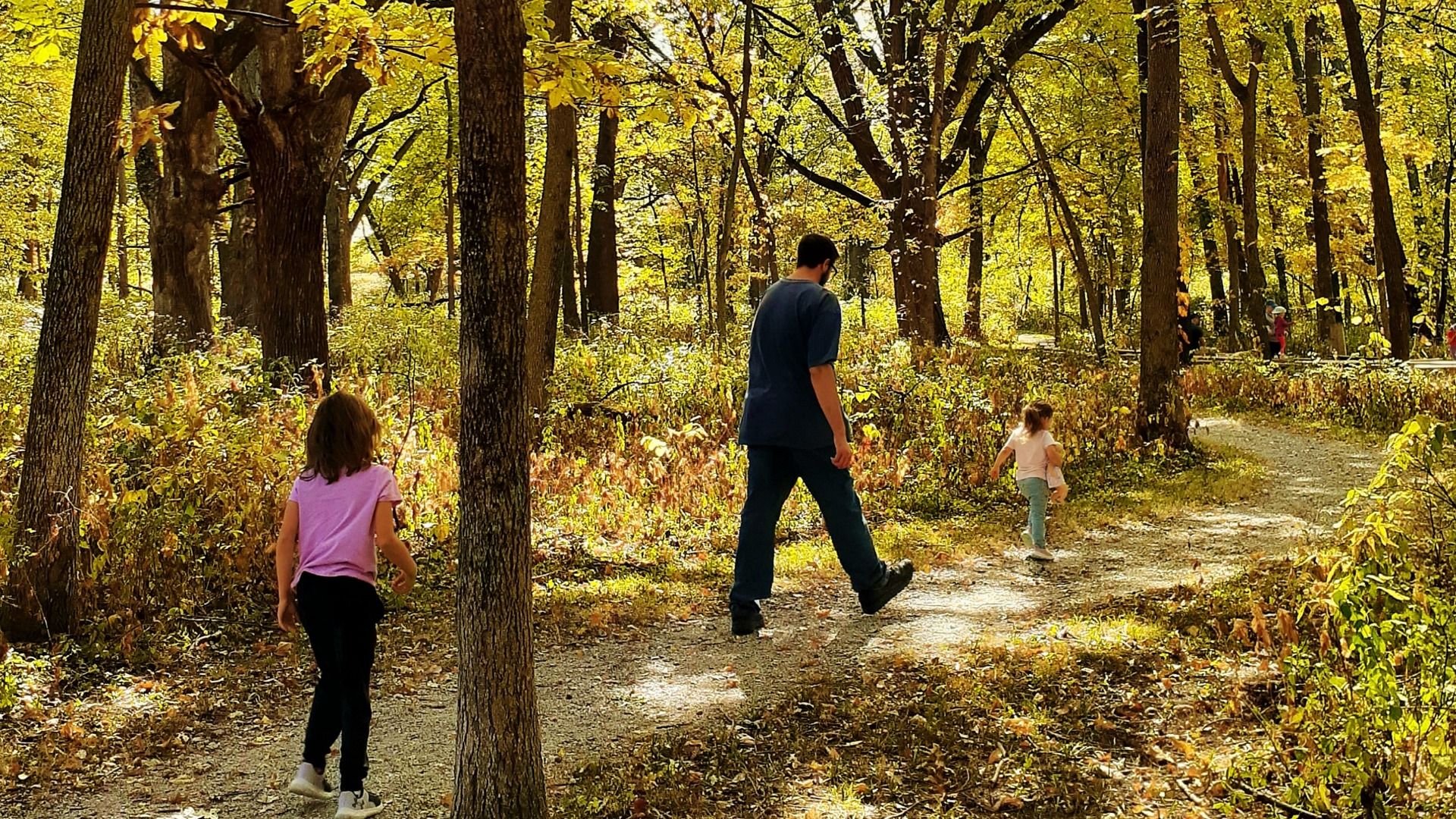 A photo of fall colors.