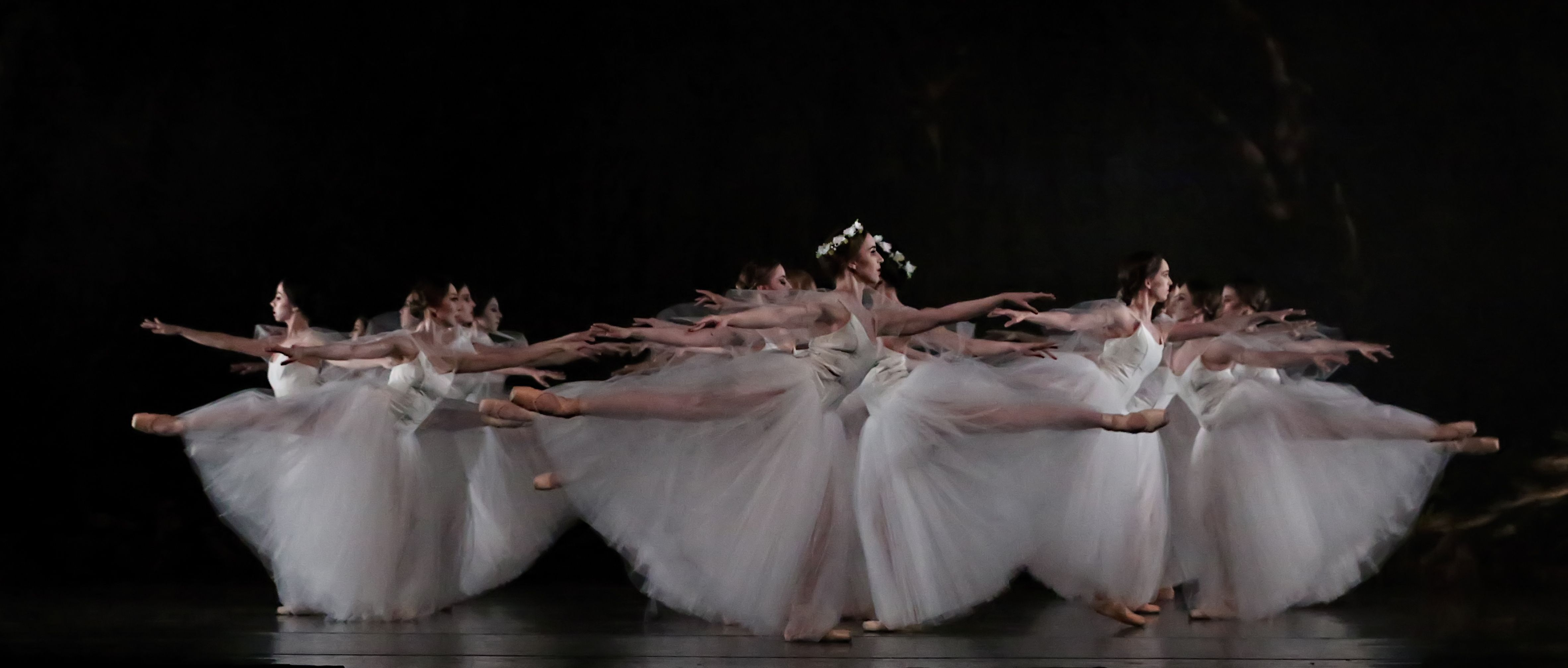 Photo of ballerinas in white tulle. 