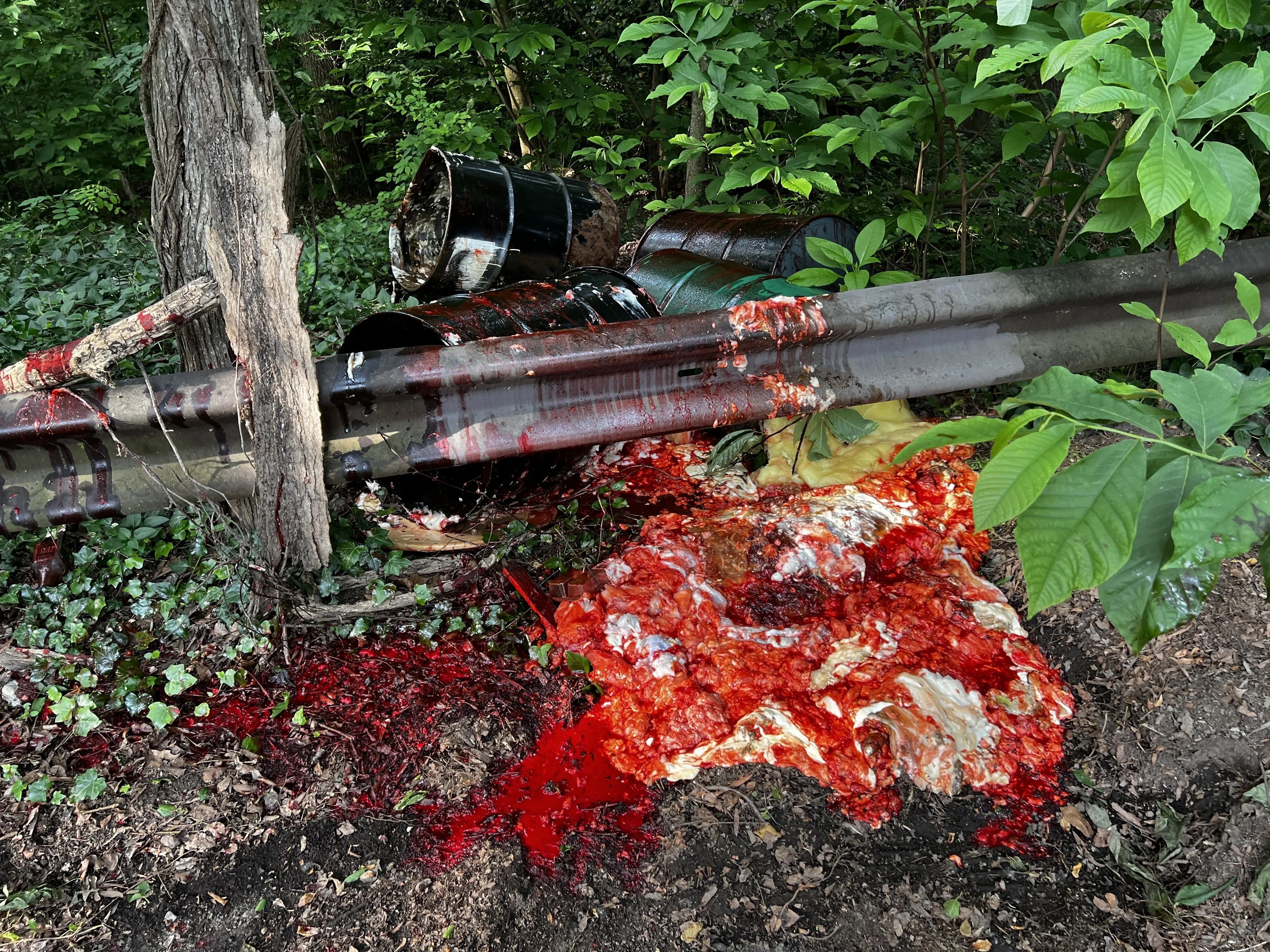 Rusty barrels lay on their sides beside a guardrail in a dense green area. A bright red, thick liquid pours from the barrels and pools on the ground, staining leaves and soil.