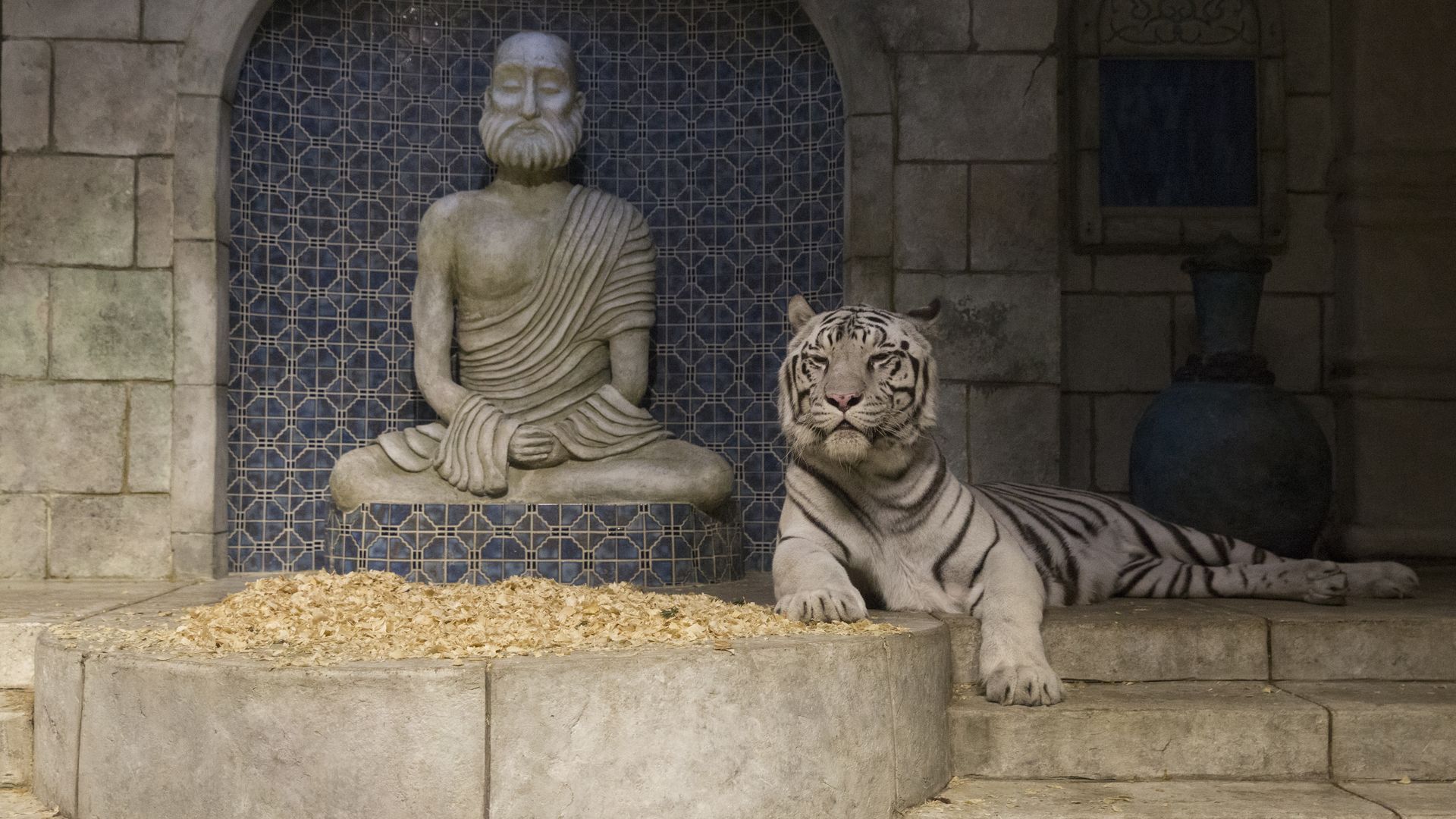 Photo of a white tiger at the Maharaja's Temple in an aquarium 