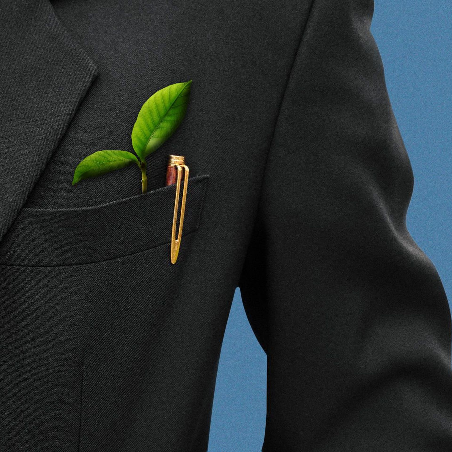 Illustration a small sprout and a pen in the lapel pocket of a suit jacket.