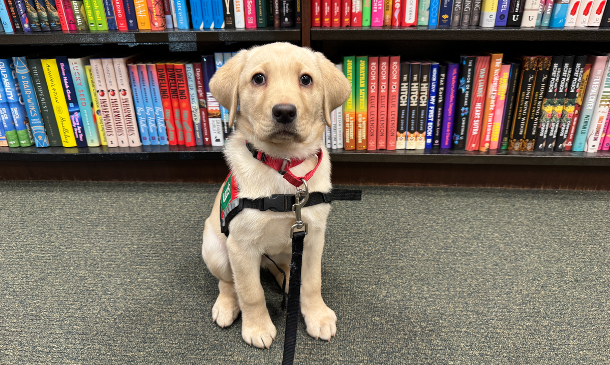 Vida went book shopping at Barnes and Noble. Photo: Chloe Gonzales/Axios
