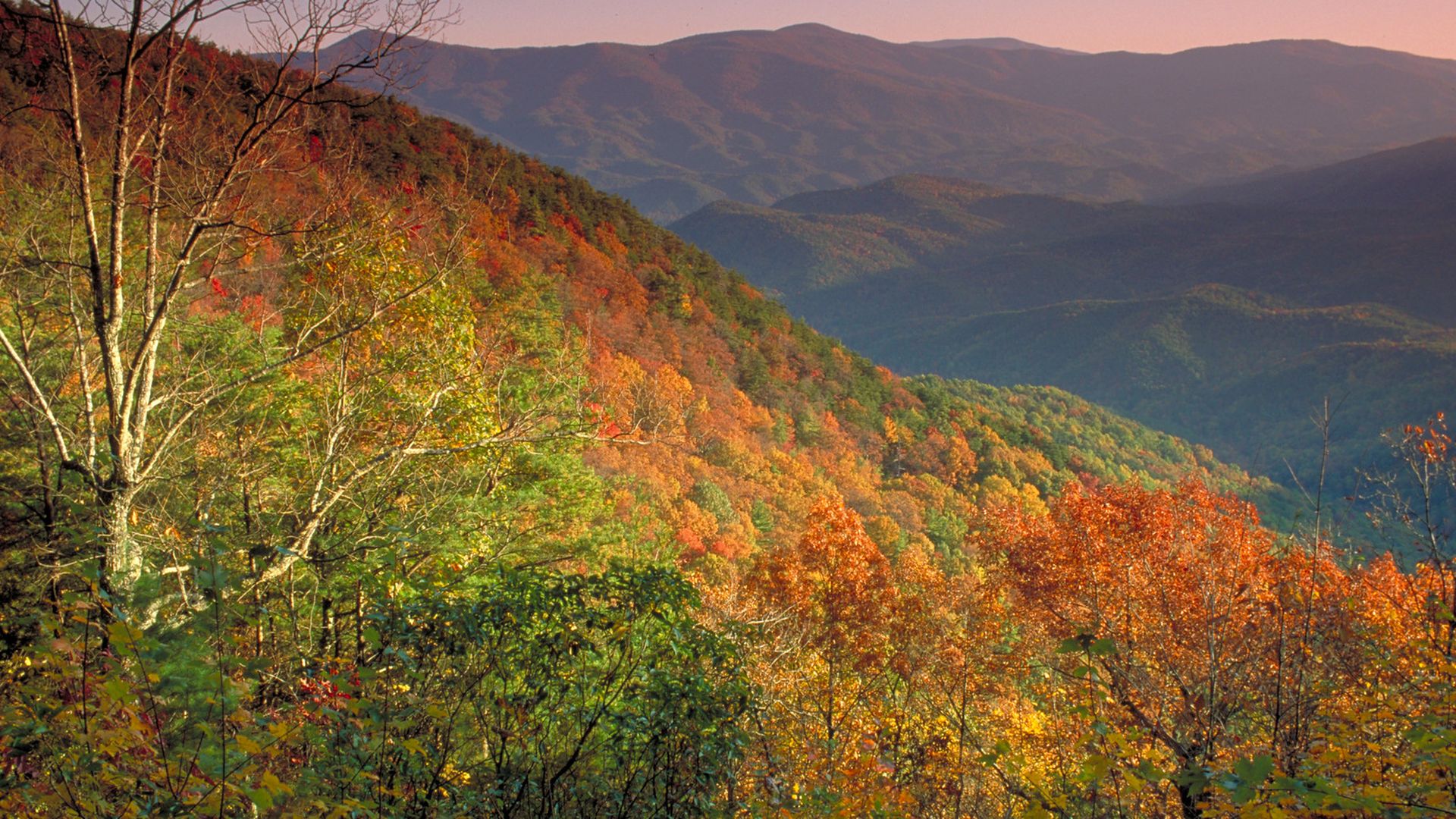 A view of Fort Mountain State Park in the autumn as green leaves change to red, amber, orange, and brown