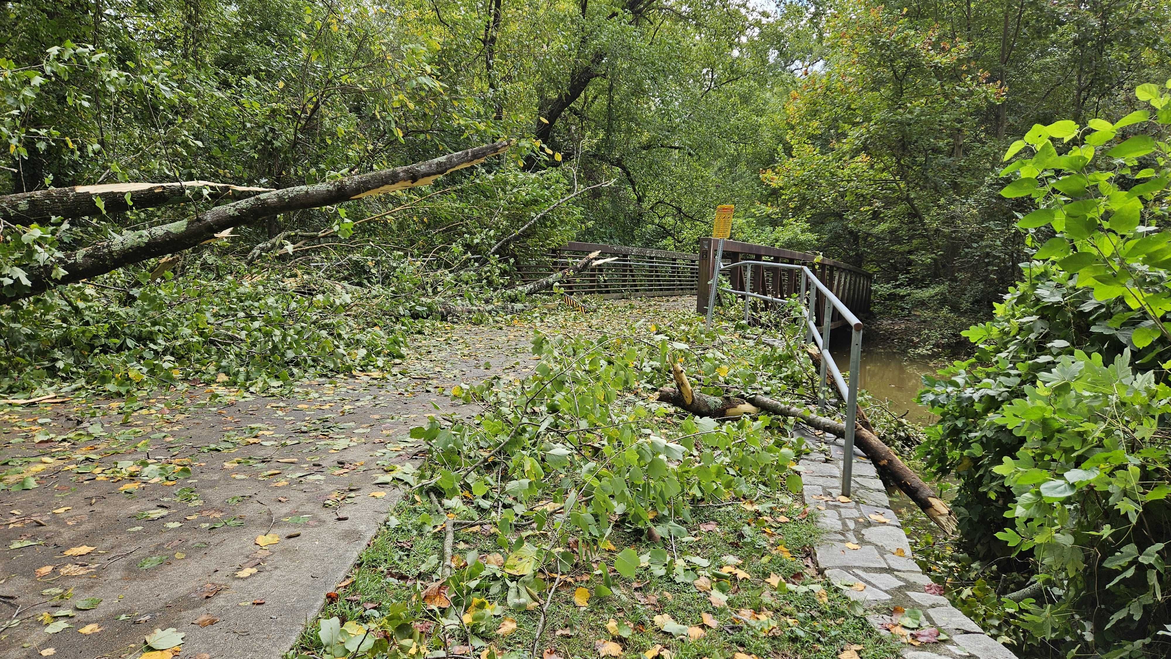 Trees fell onto the Northside Beltline trail in Buckhead.