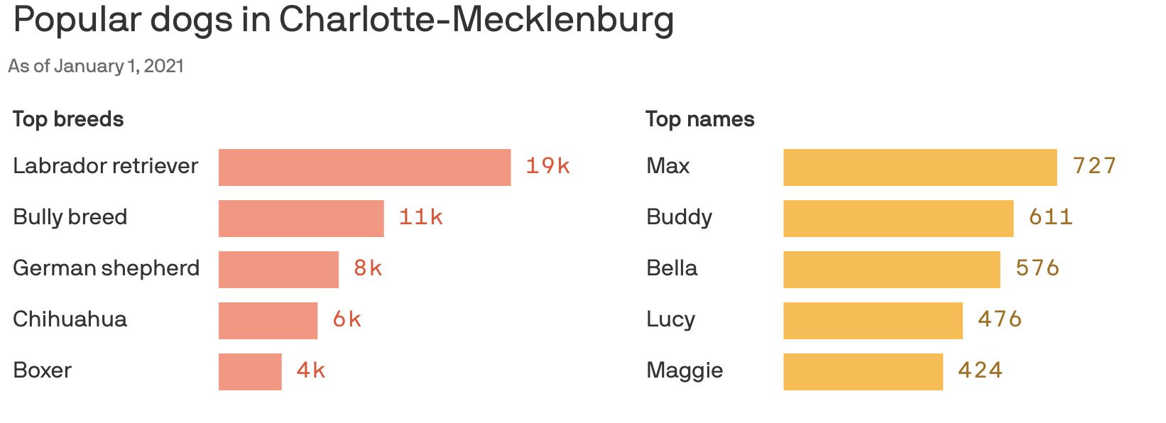 Animal Care and Control, AC&C, Charlotte pets, dogs, cats, Popular dog breeds and names