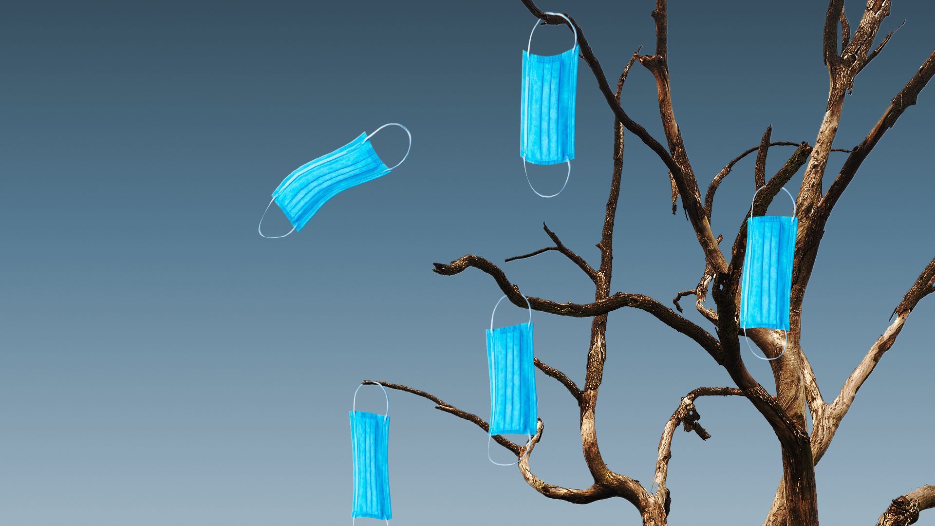 Illustration of a dead tree with surgical masks on the branches blowing in the wind.