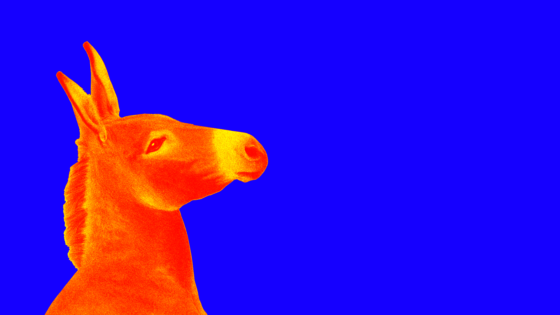 Gif of a Donkey saying "Abolish ICE"