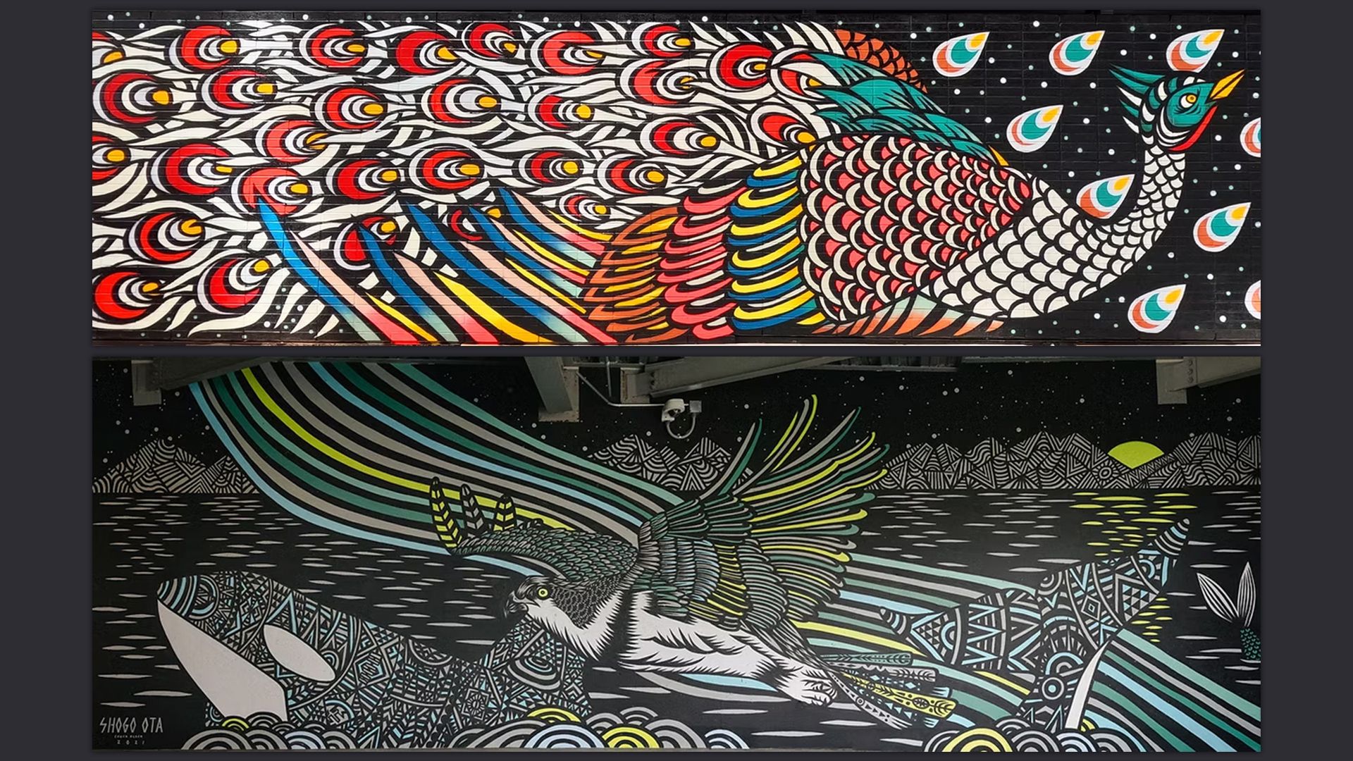 Two of Shogo Ota's murals in Seattle: one a bright peacock, the other a dark osprey. 