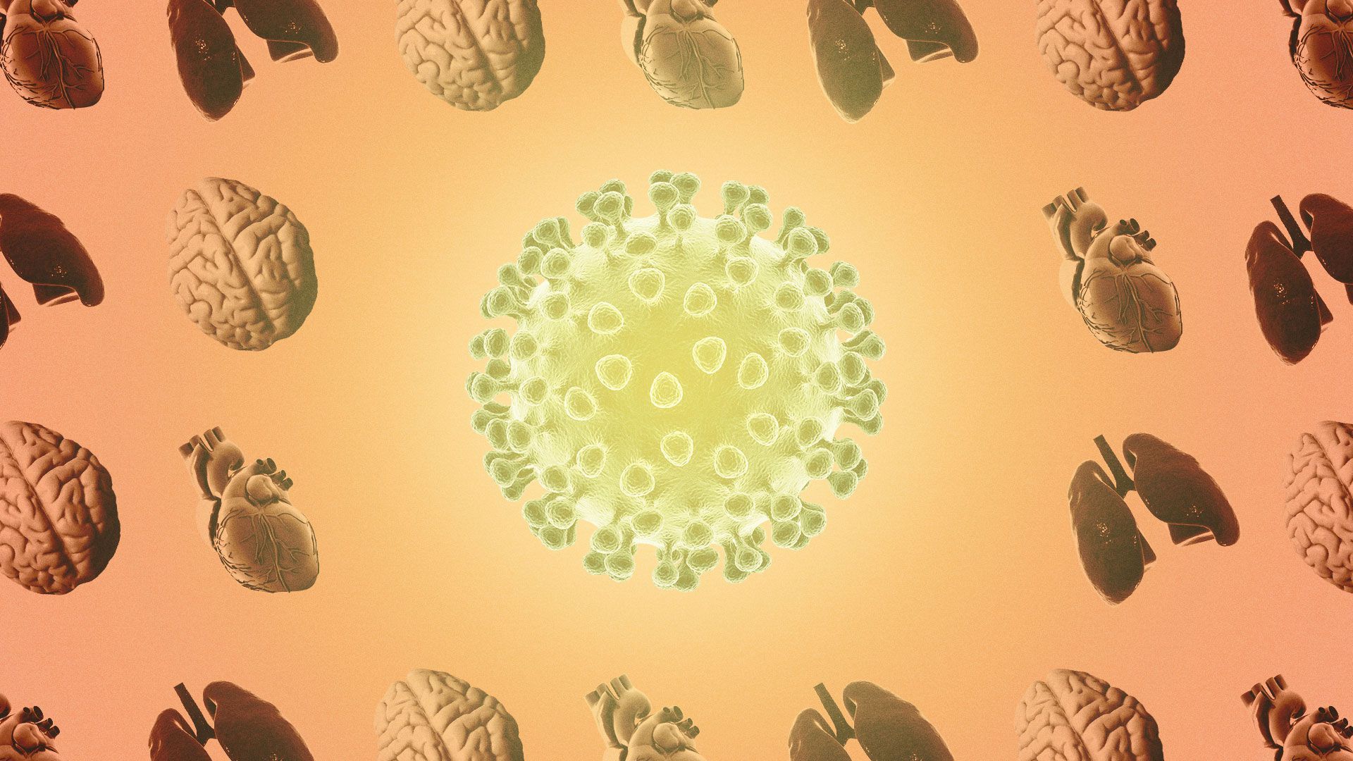 Illustration of coronavirus affecting a brain, lungs, and heart pattern