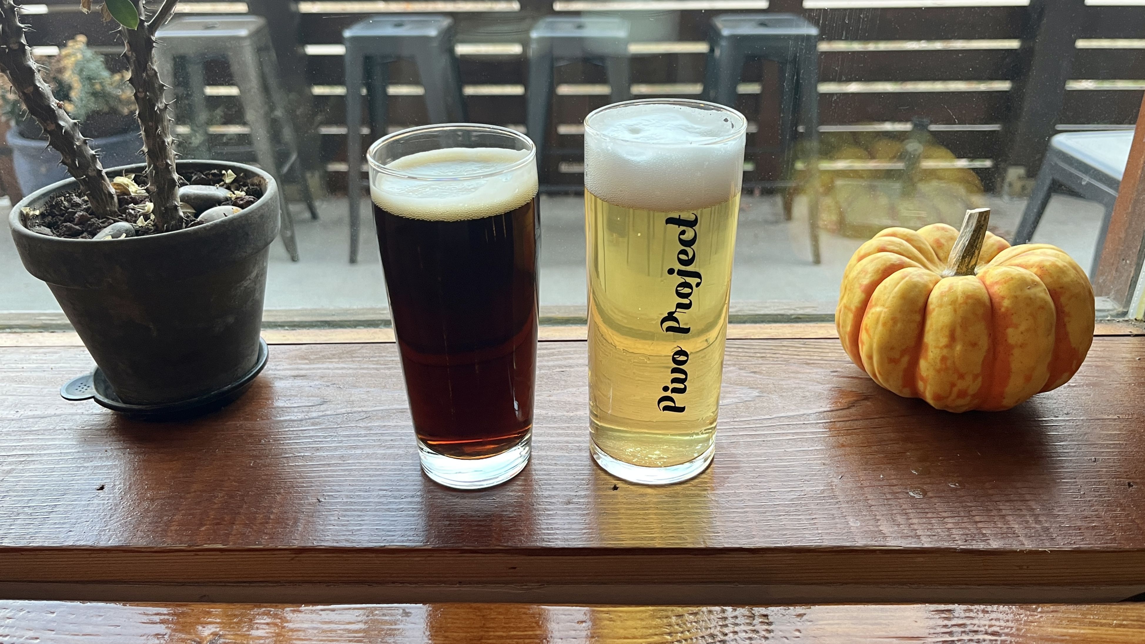 Two glasses of beer, one dark and one light with foam, on a wooden windowsill between a thorny plant in a pot and a small orange pumpkin. The glass says "Pivo Project."