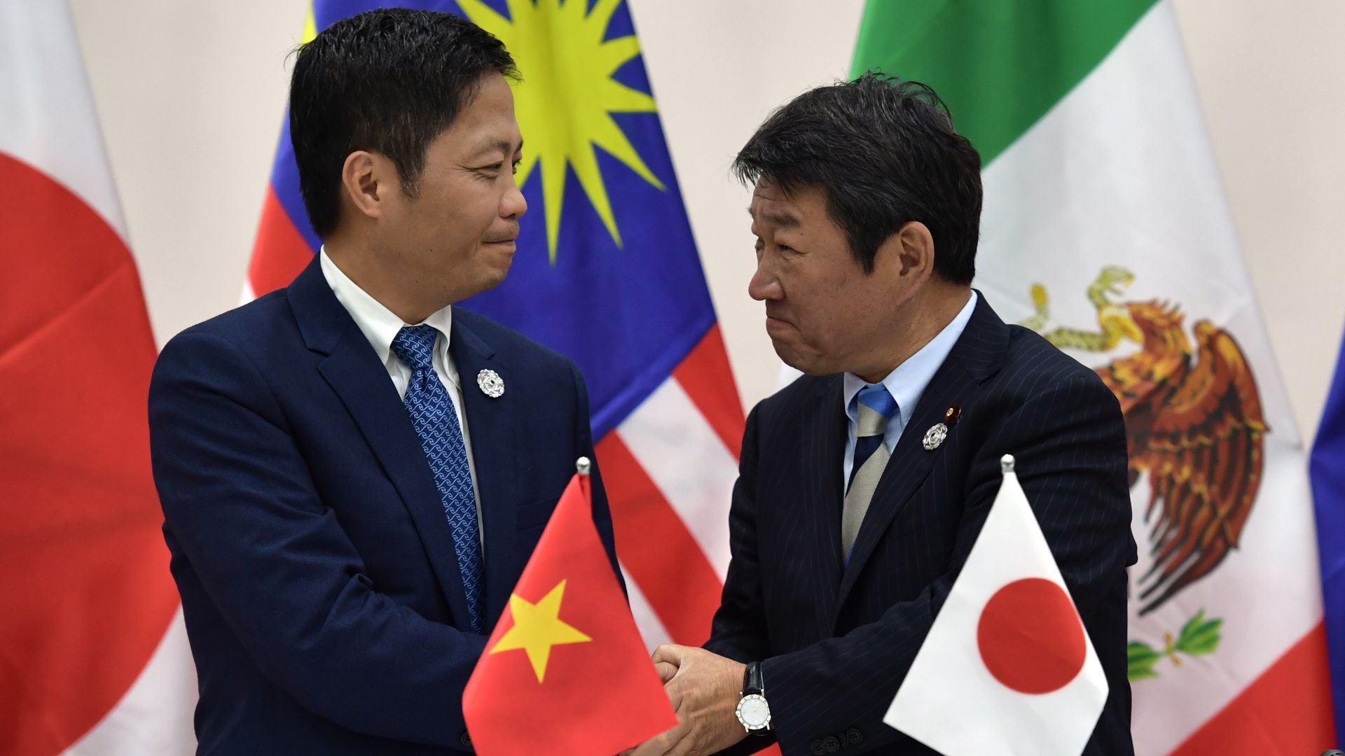 Ministers from Vietnam and Japan shaking hands