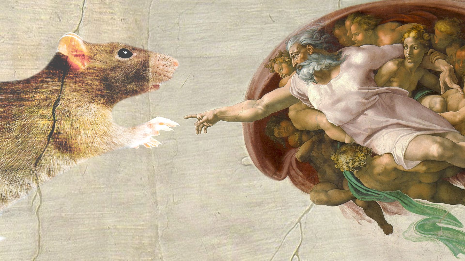 Illustration of a rat on the ceiling of the sistine chapel