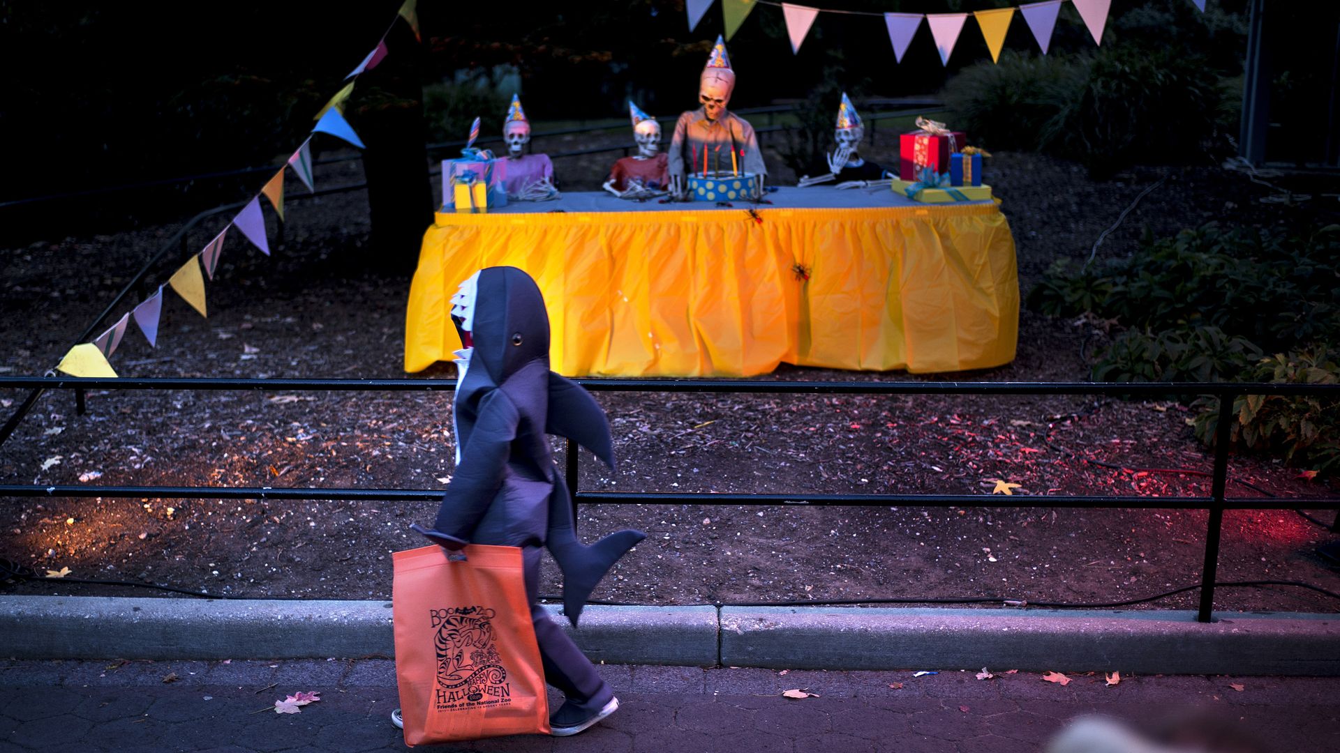 A trick or treater walks inside the National Zoo past a table